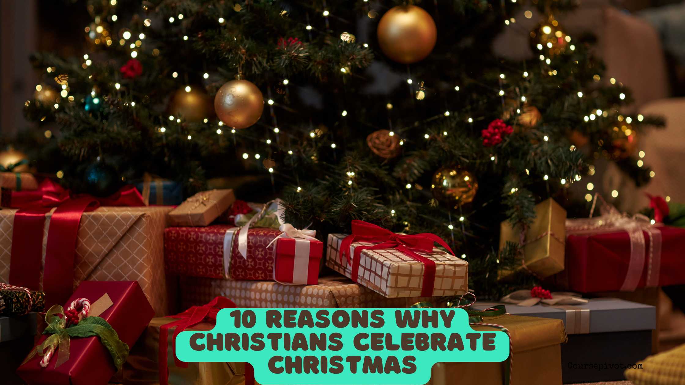 Biblical reasons why we celebrate Christmas
