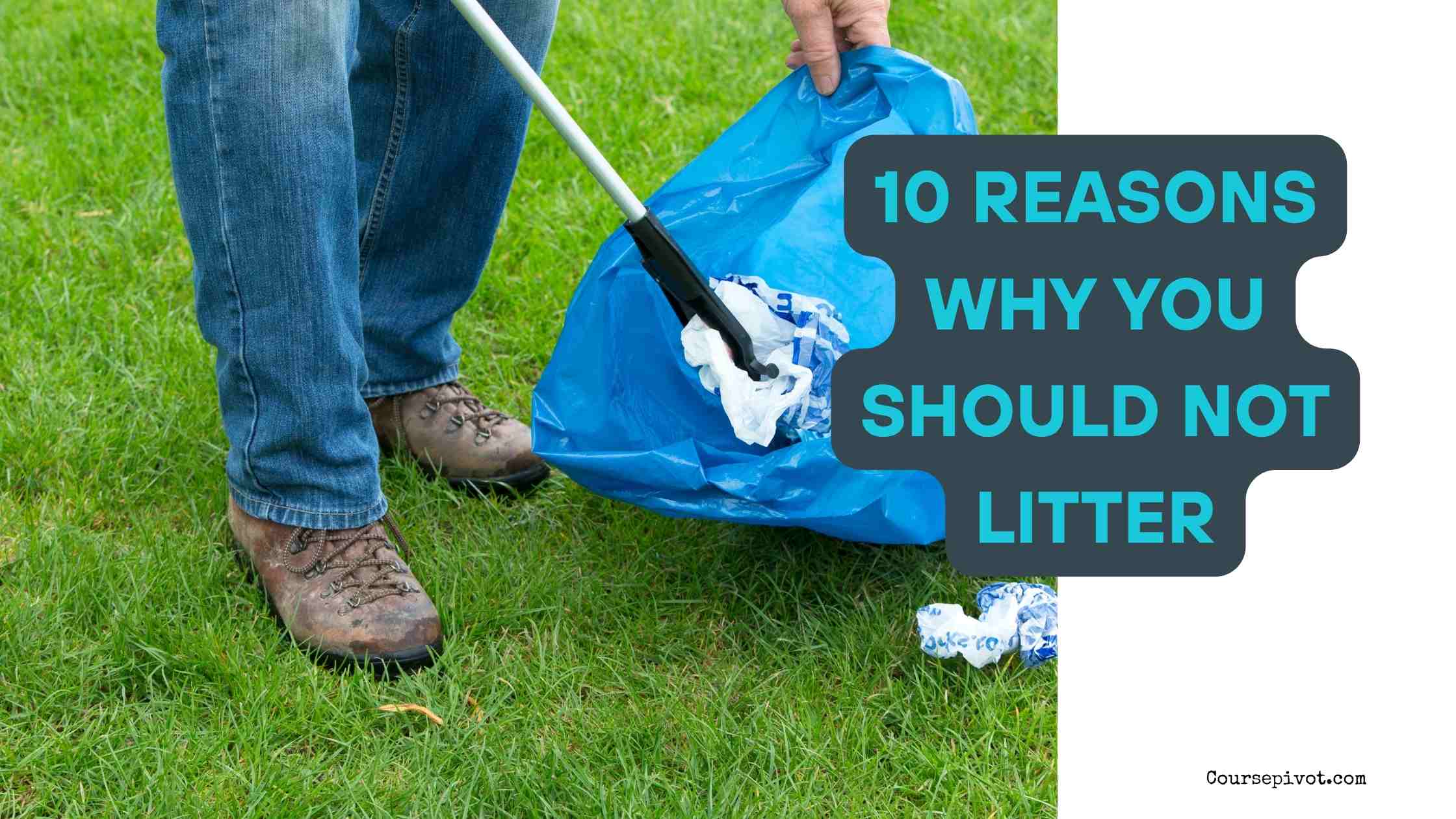 10 Reasons Why You Should Not Litter