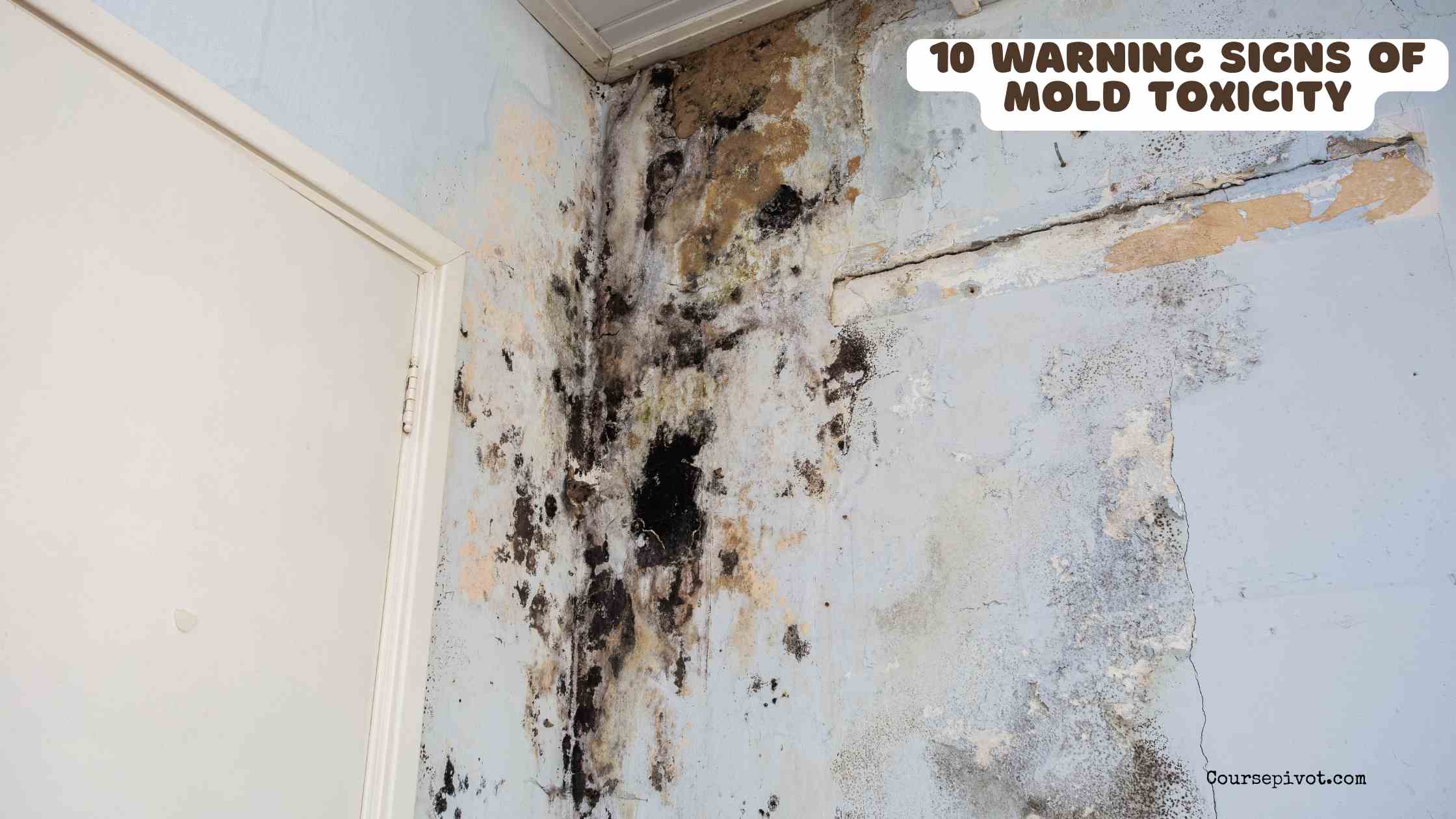 10 warning signs of mold toxicity