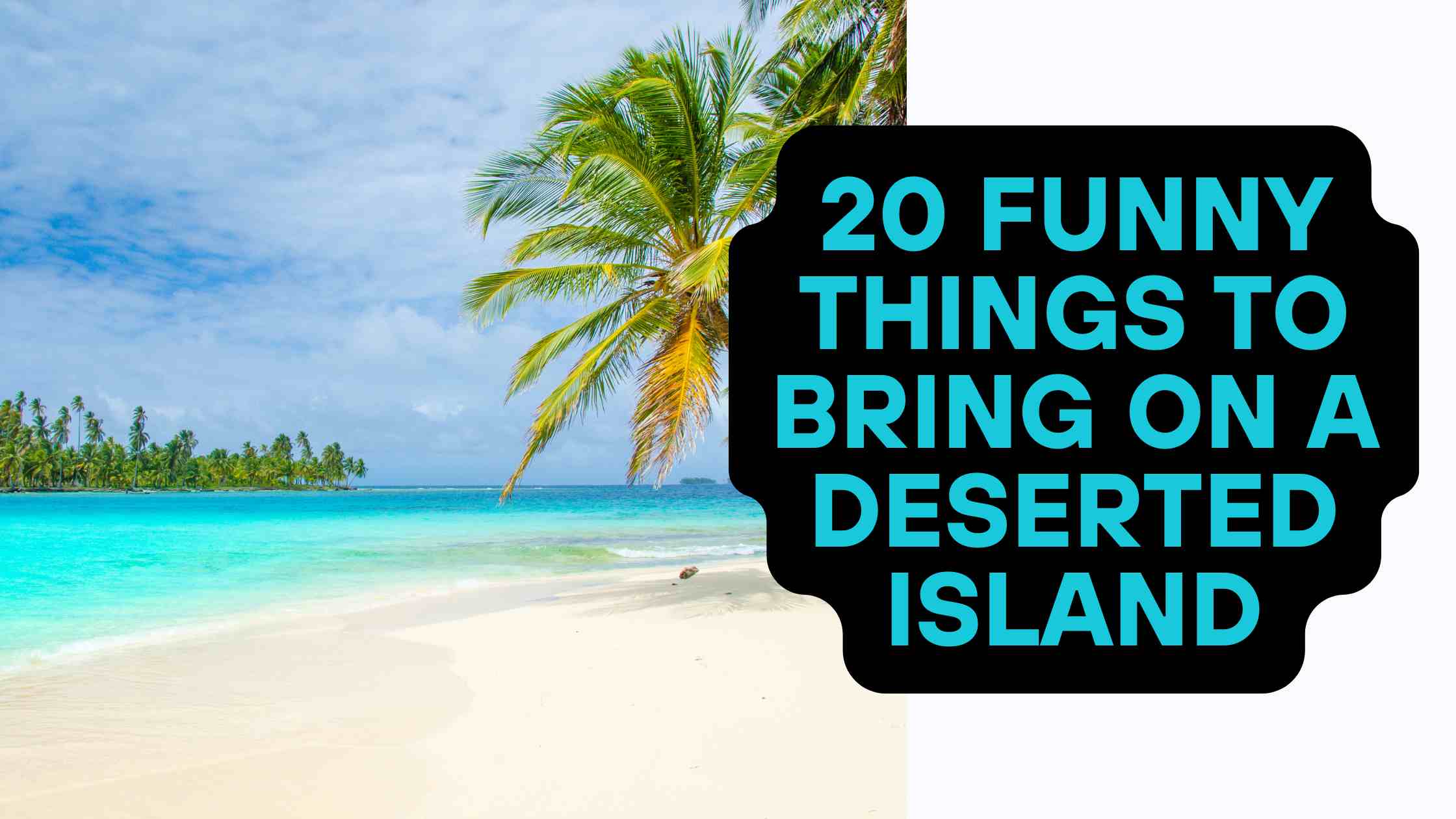20 Funny Things to Bring on a Deserted Island