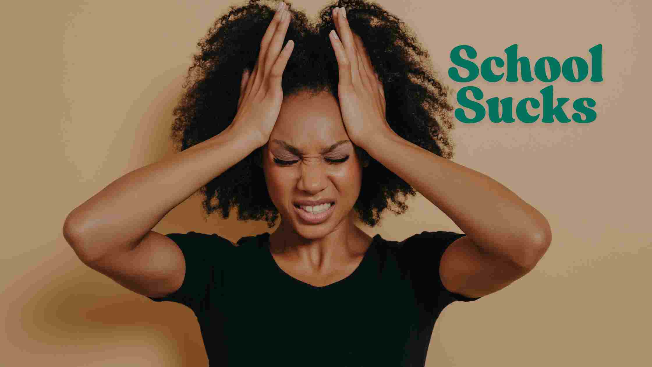 20 Reasons Why High School Sucks