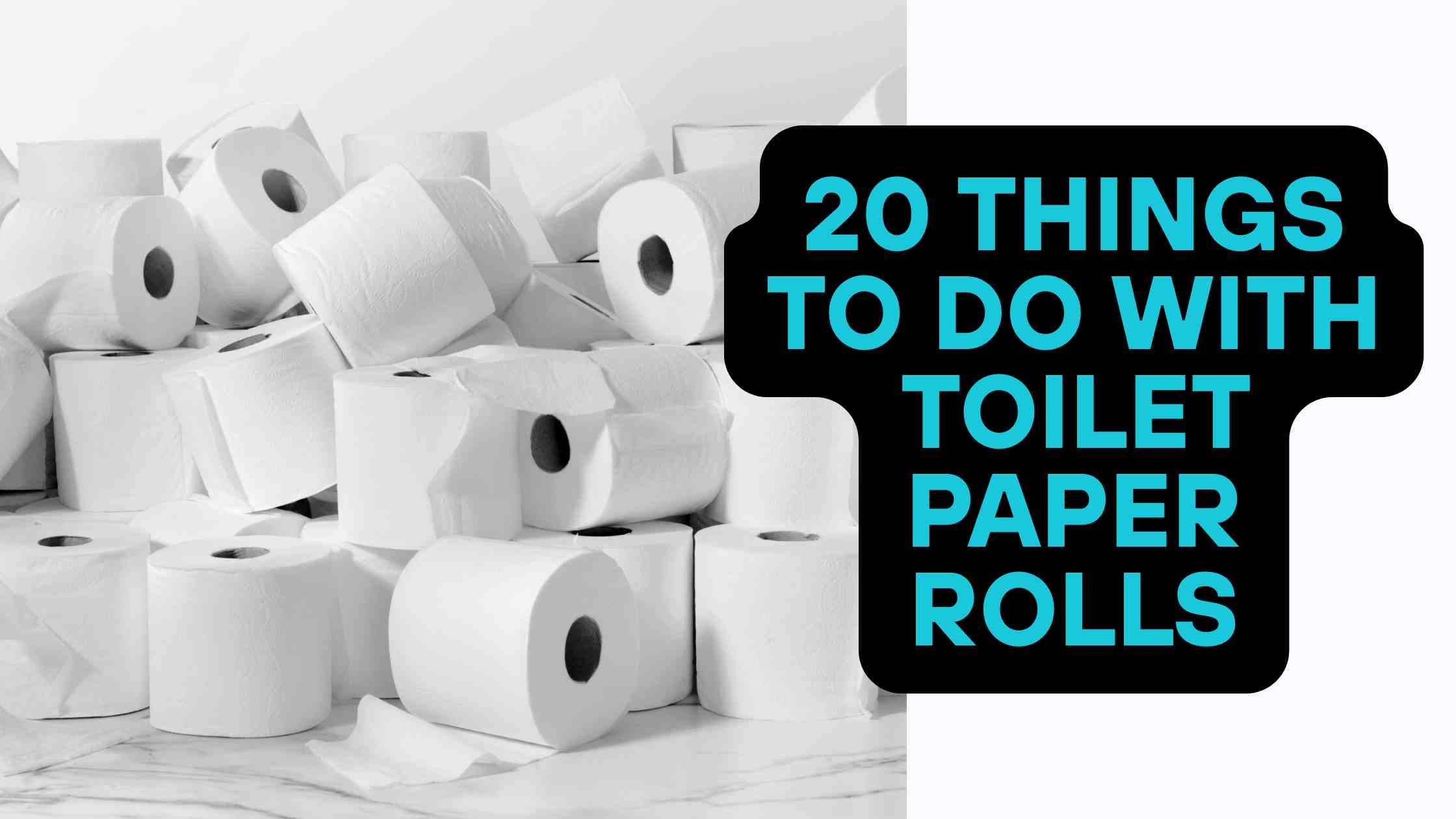20 Things to Do with Toilet Paper Rolls