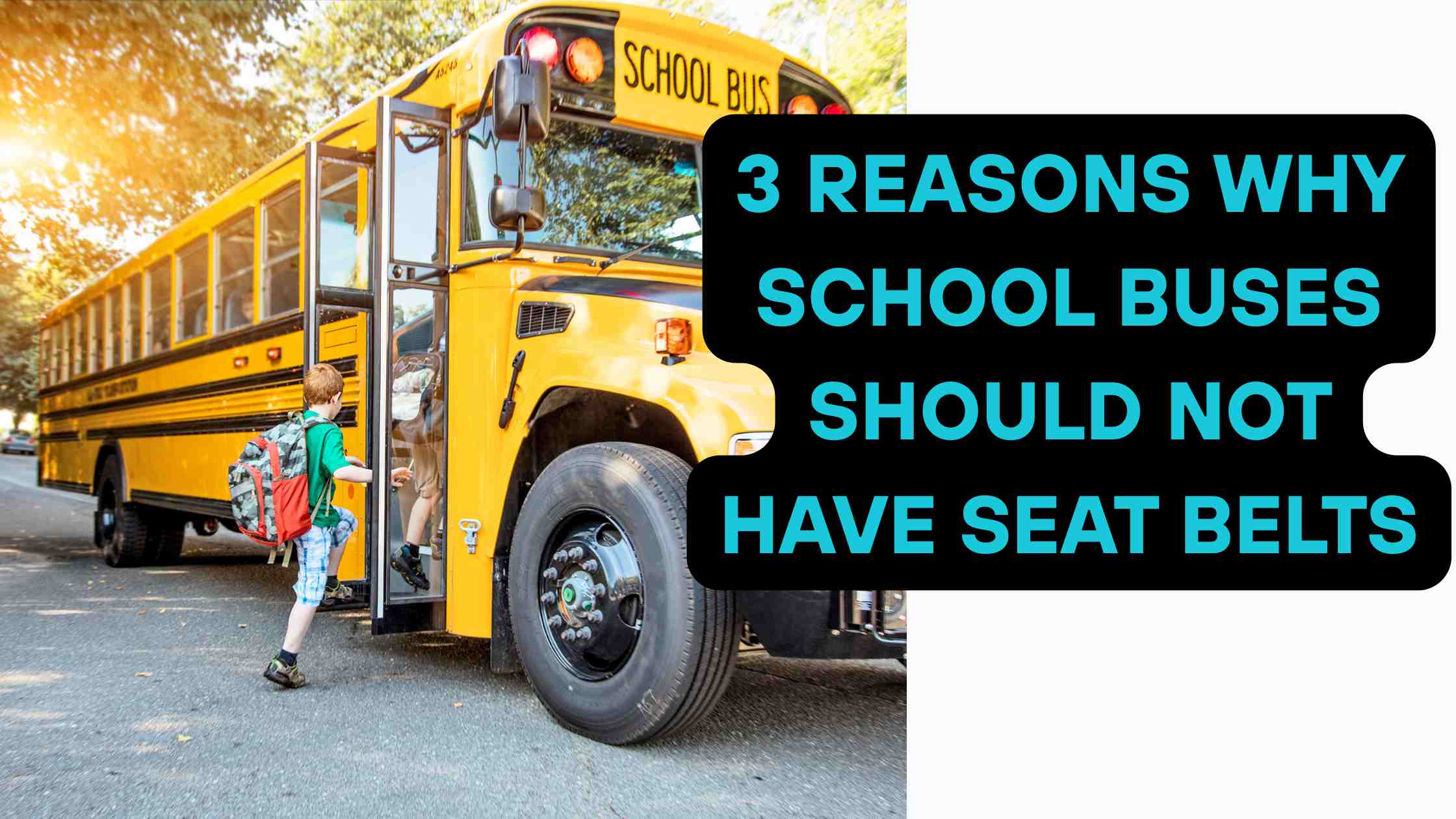 3 Reasons Why School Buses Should Not Have Seat Belts