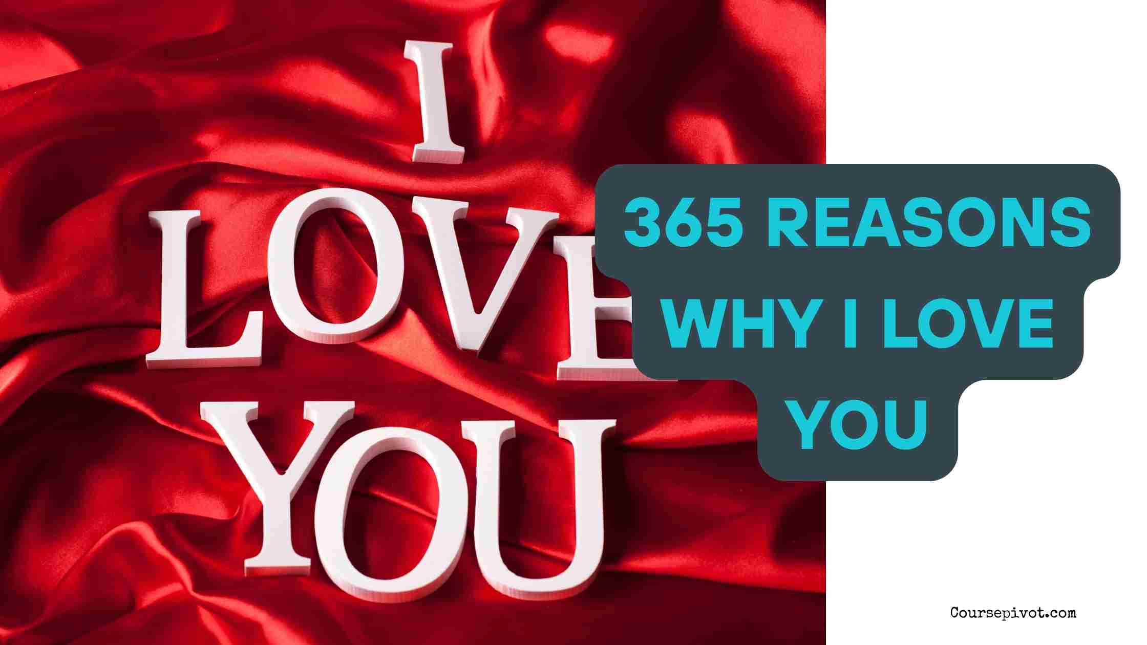 365 Reasons Why I Love You