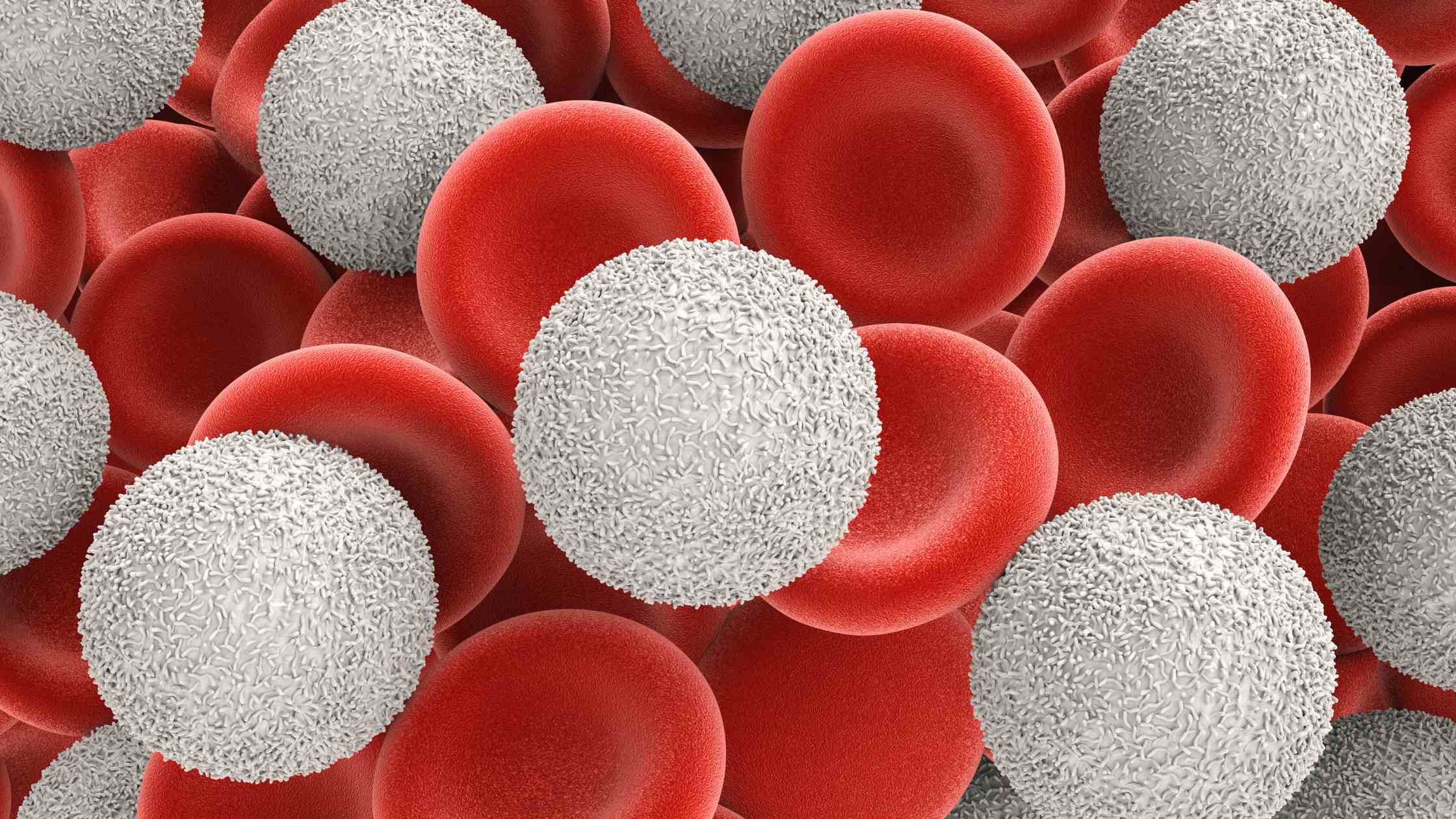 5 Most Common Reasons for Low White Blood Cell Count (Leukopenia)