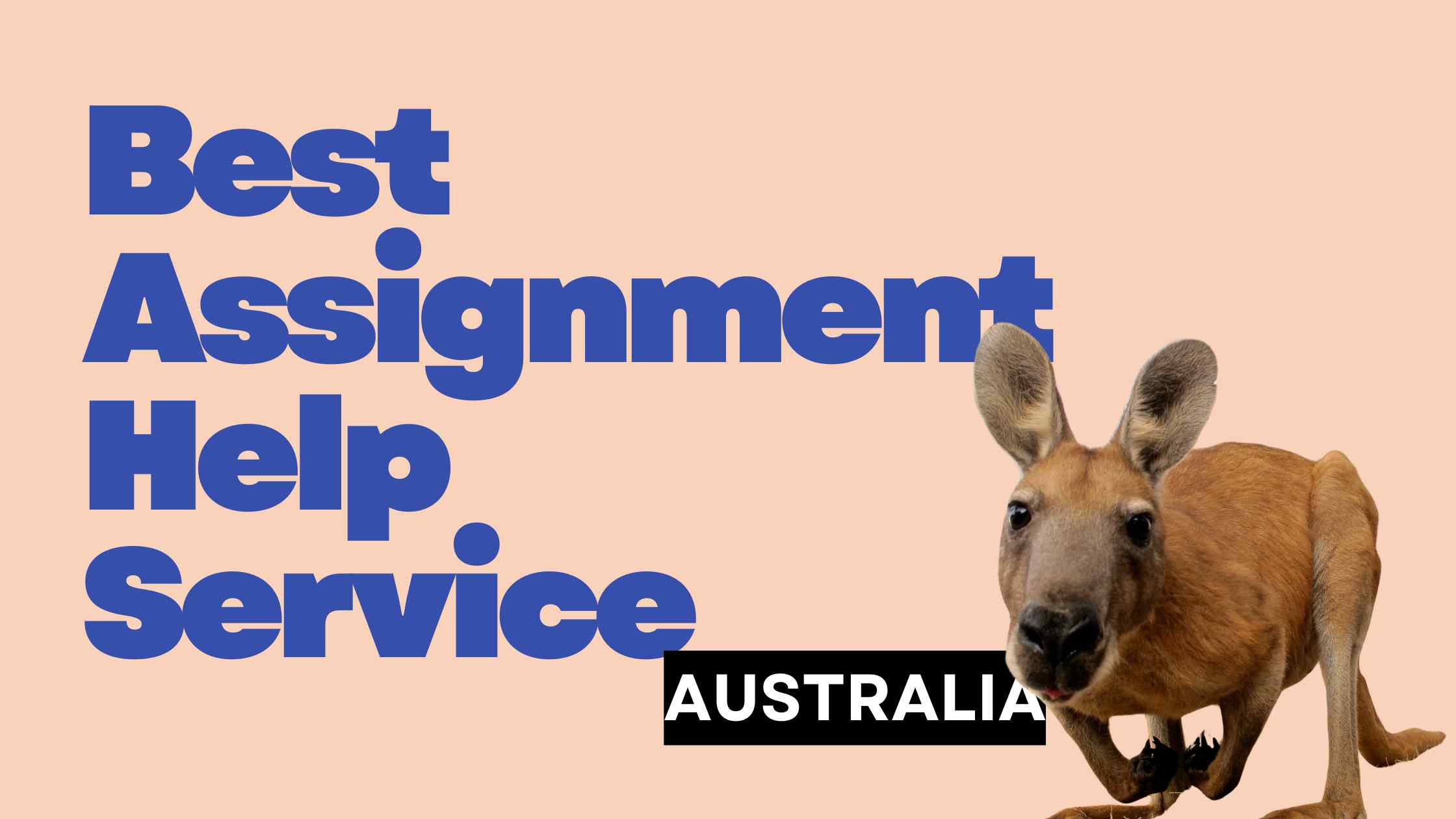 Pay someone to do my assignment for me Australia