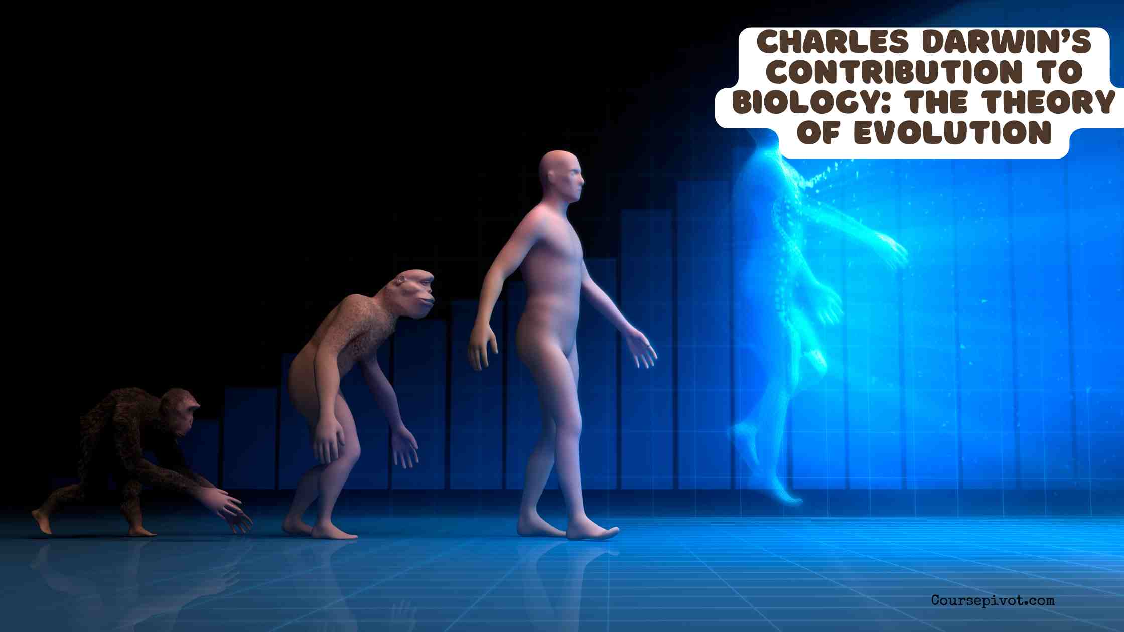 Charles Darwin’s Contribution to Biology: The Theory of Evolution