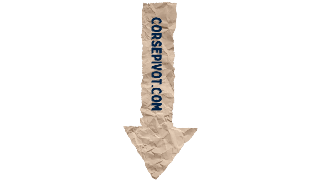 Coursepivot website is the leading website to hire people to do your nursing essay online for you in UK