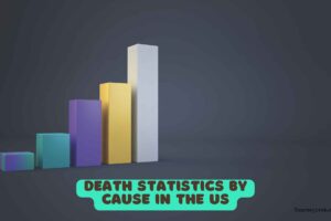Death statistics by cause in the US