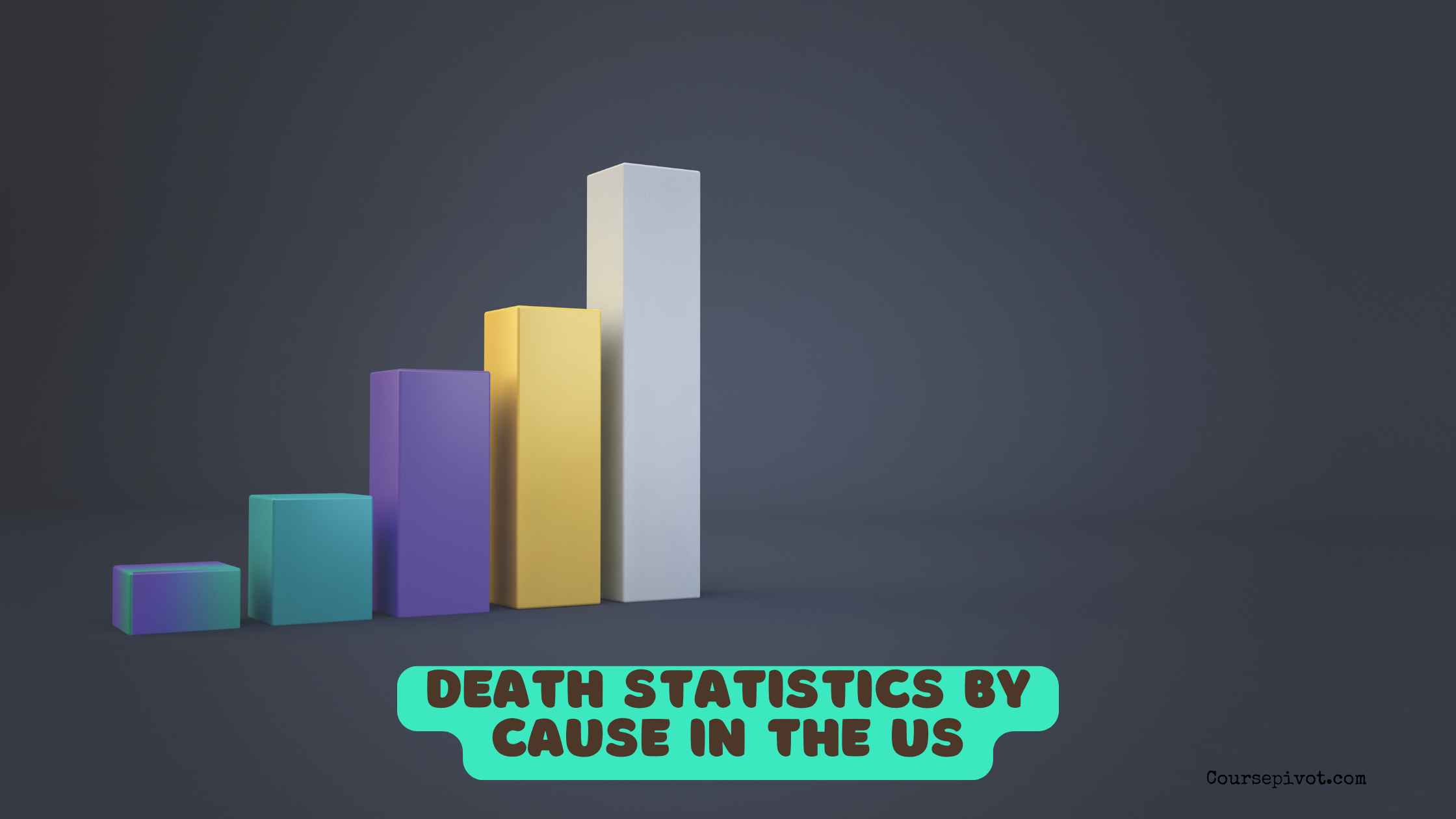 Death statistics by cause in the US