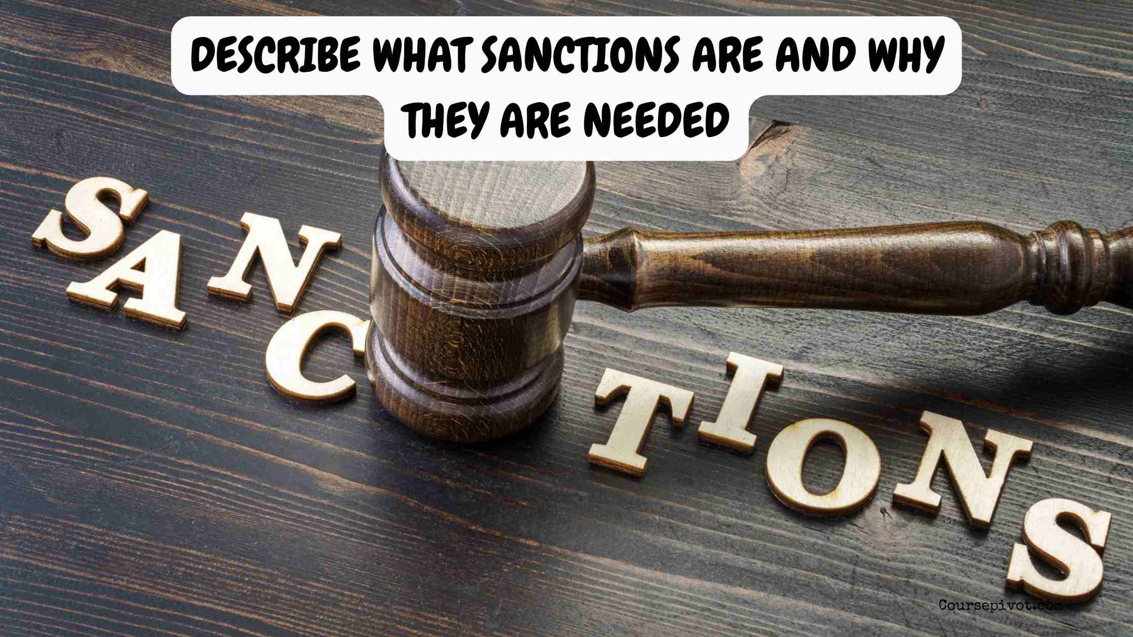 Describe What Sanctions Are and Why They Are Needed