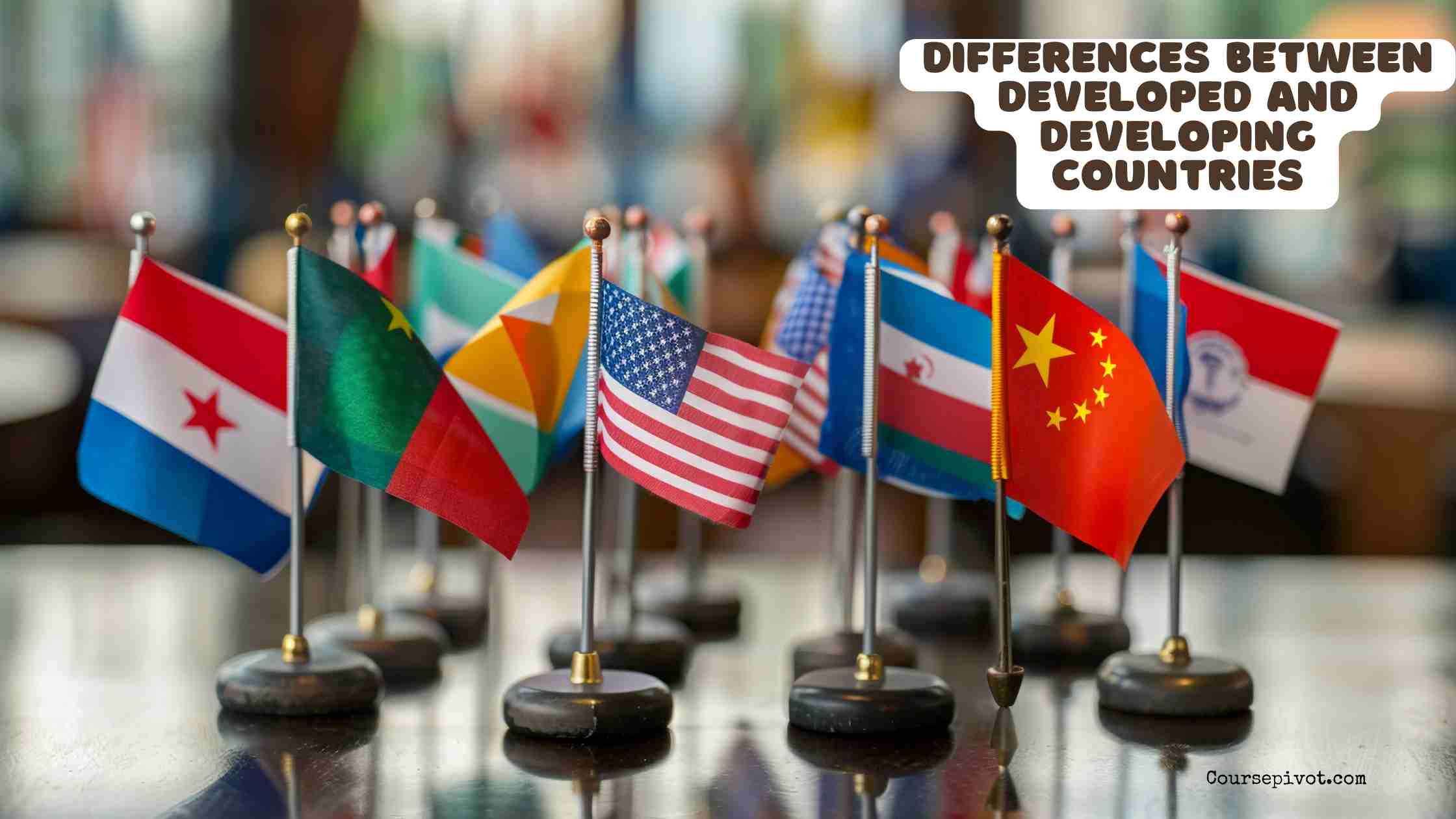 Differences Between Developed and Developing Countries