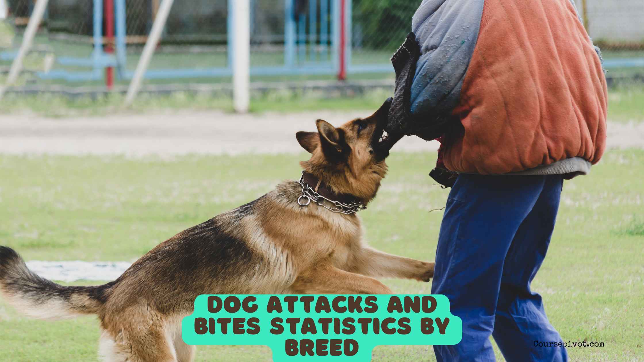 Dog Attacks and Bites Statistics by Breed