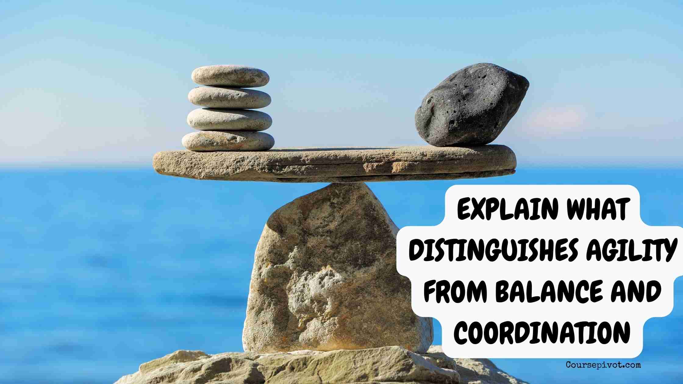 Explain What Distinguishes Agility from Balance and Coordination