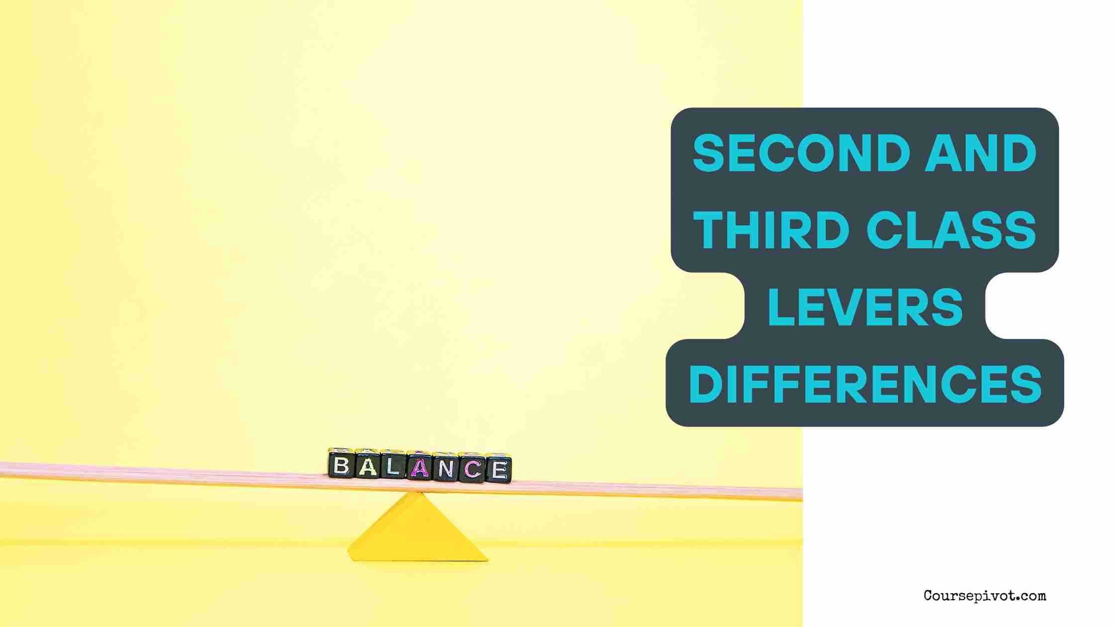 Explain What Distinguishes First Class Levers from Second and Third Class Levers