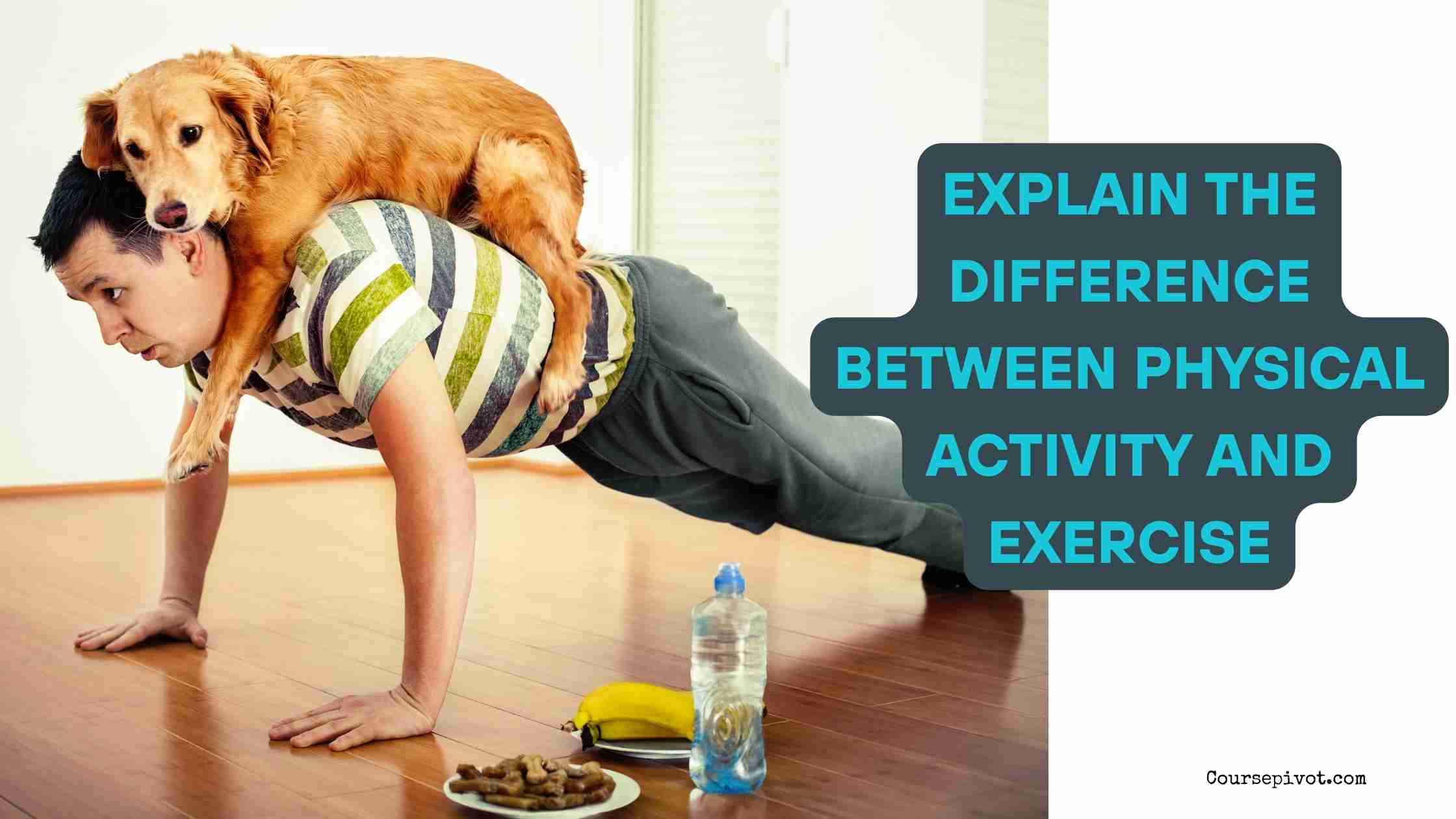 Explain the Difference Between Physical Activity and Exercise