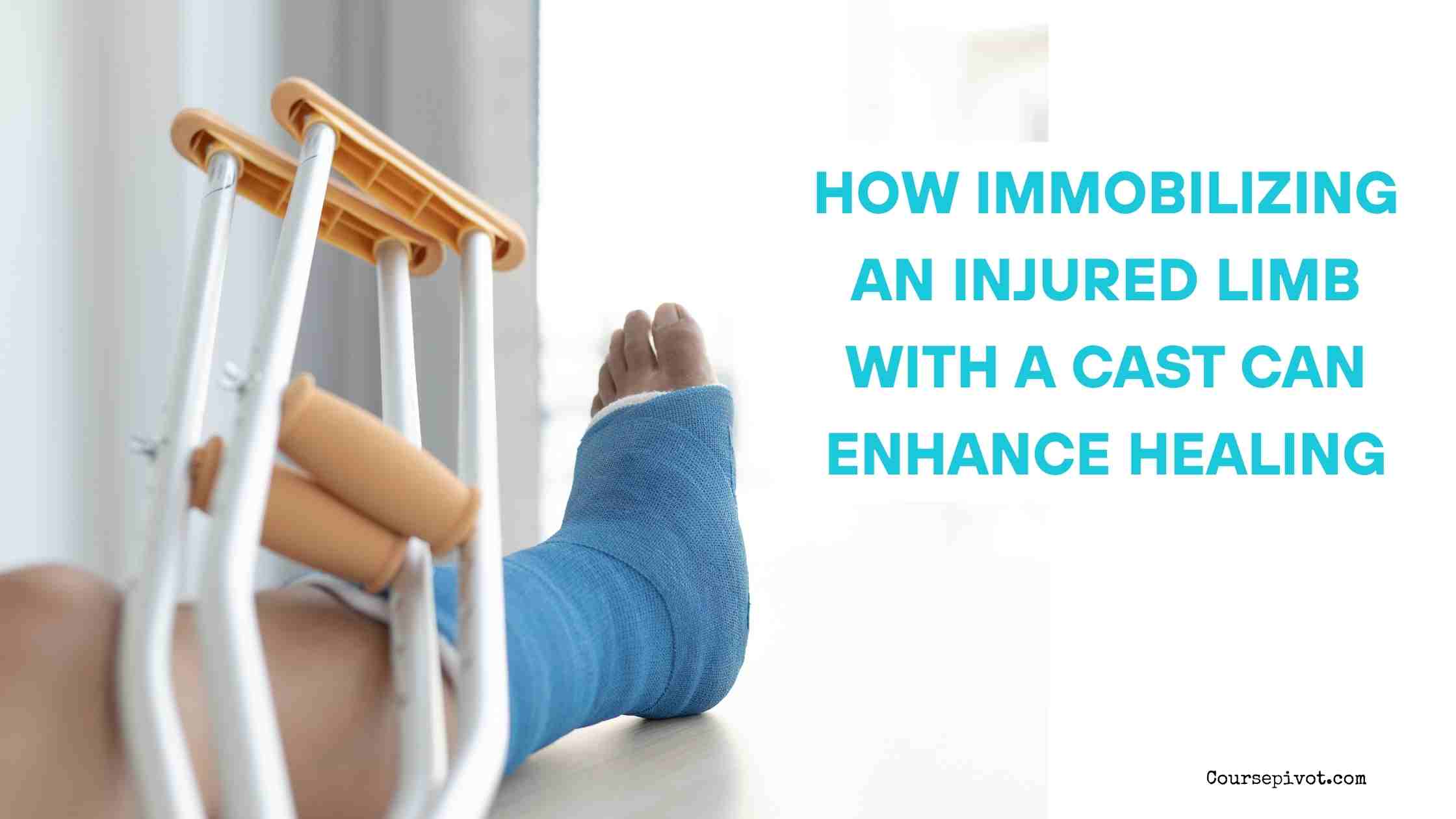 How Immobilizing an Injured Limb with a Cast Can Enhance Healing