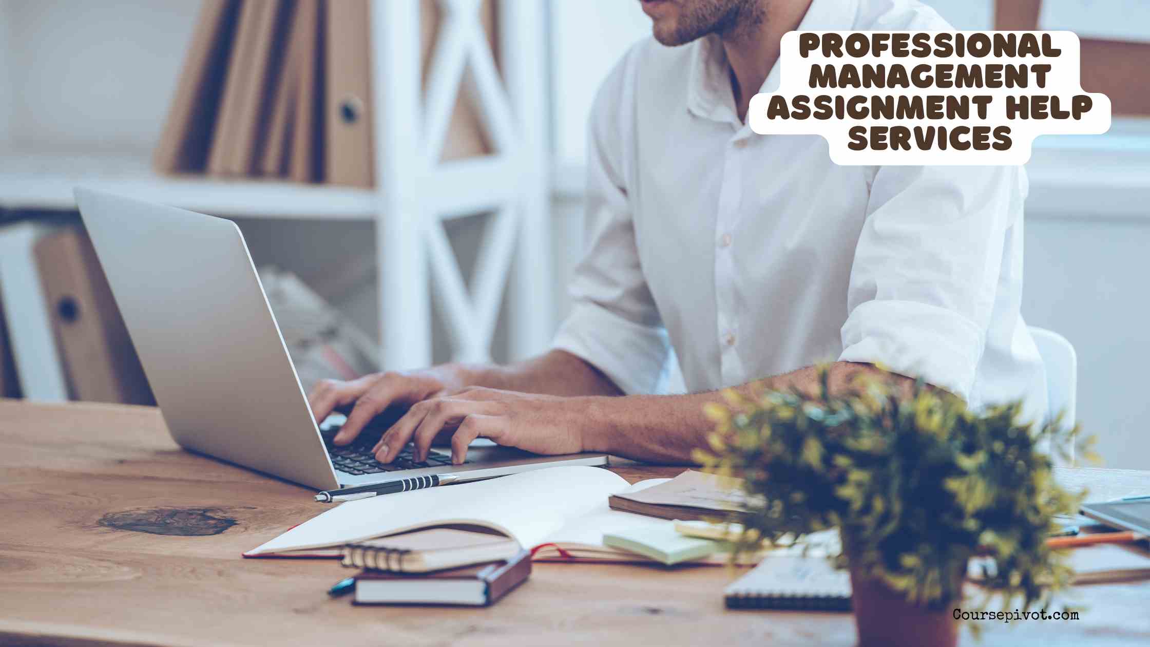 Management assignment help service review by top students across the US