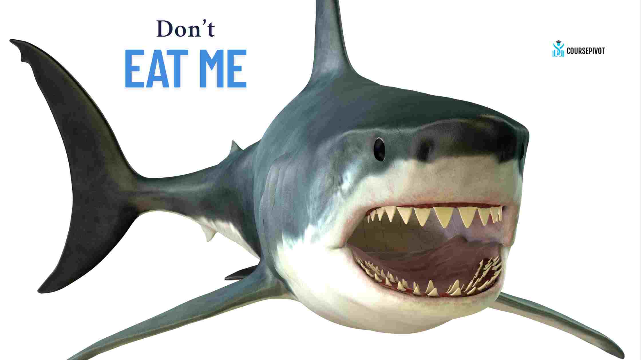 Reasons you should never eat tilapia