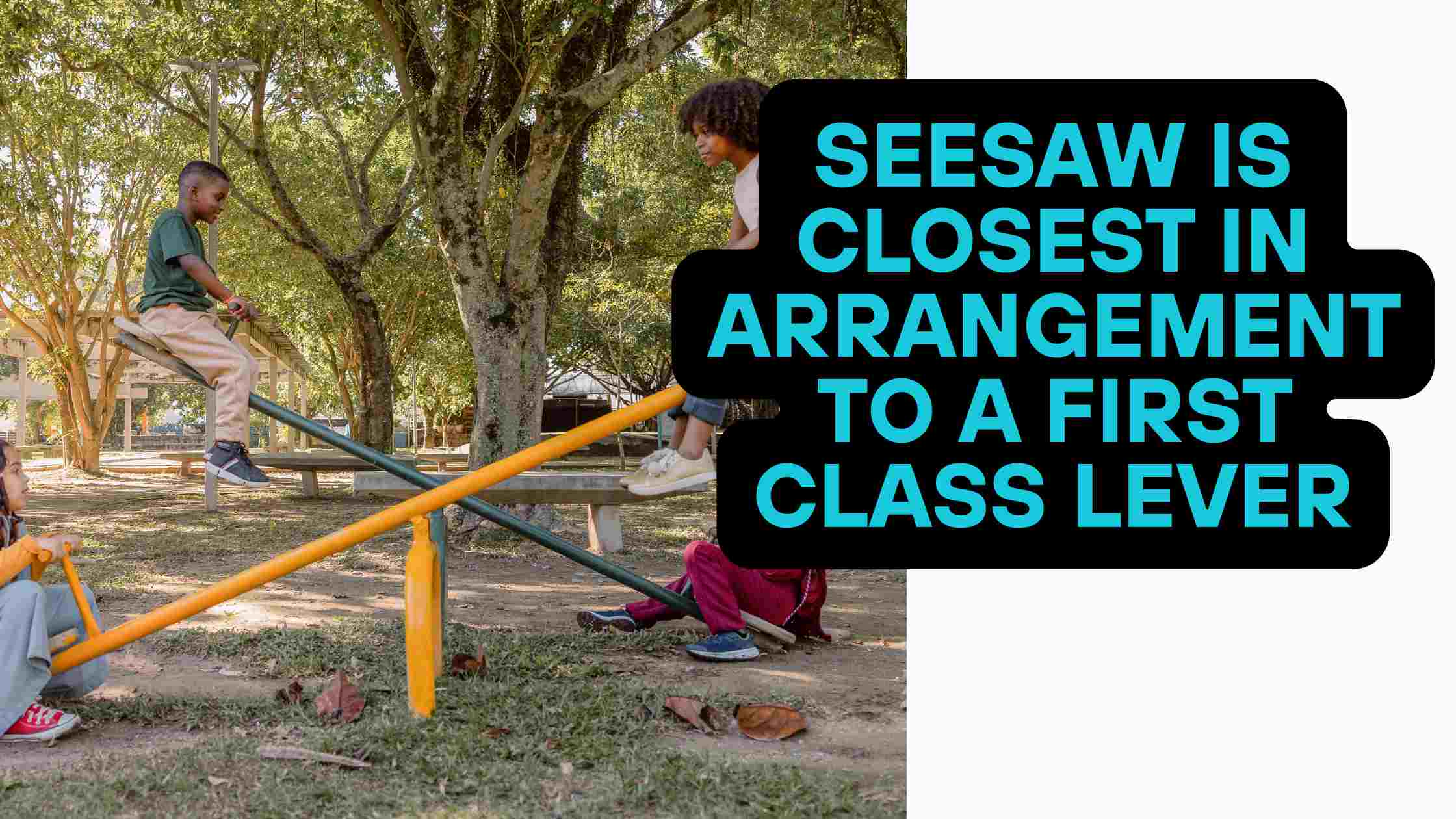 Seesaw Is Closest in Arrangement to a First Class Lever