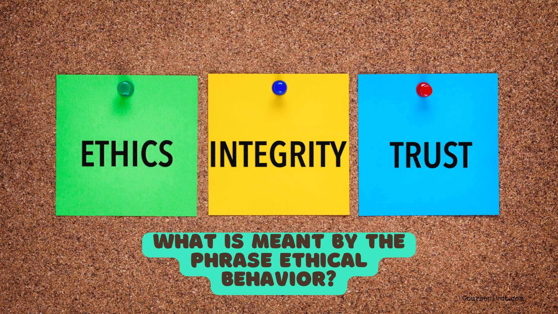 What is meant by the phrase Ethical Behavior?