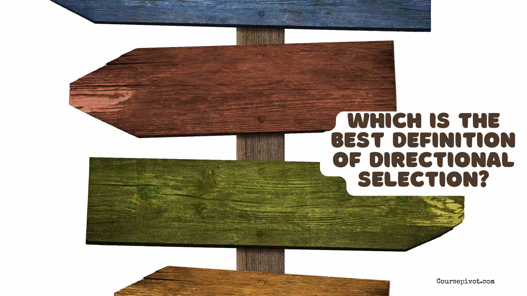 Which is the best definition of directional selection?