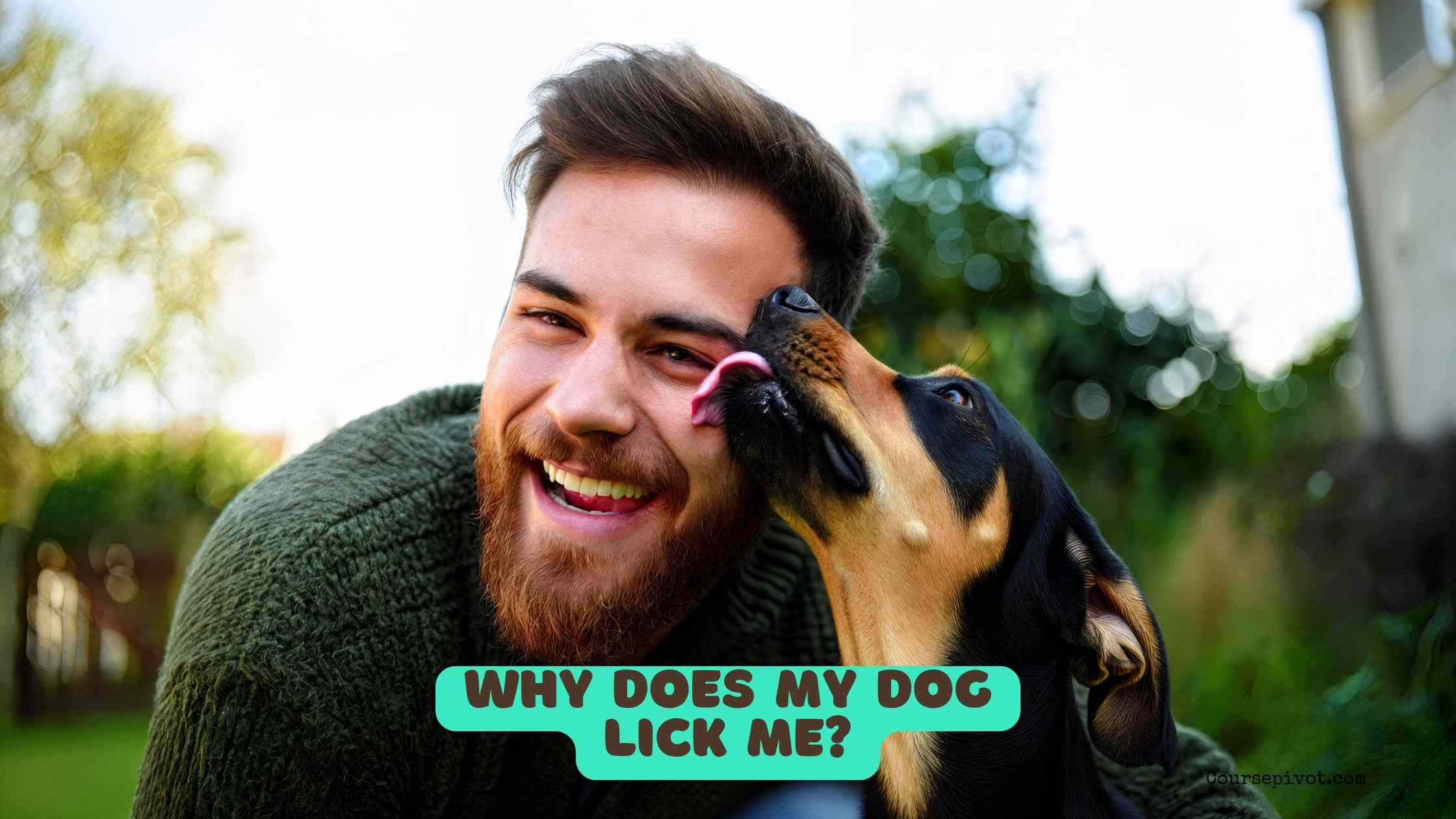 Why Does My Dog Lick Me?