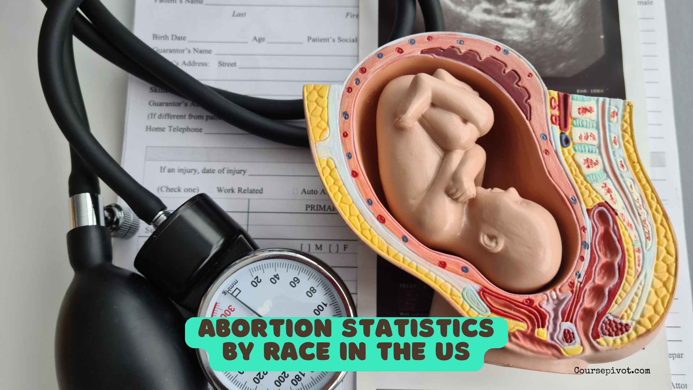 abortion statistics by race in the US