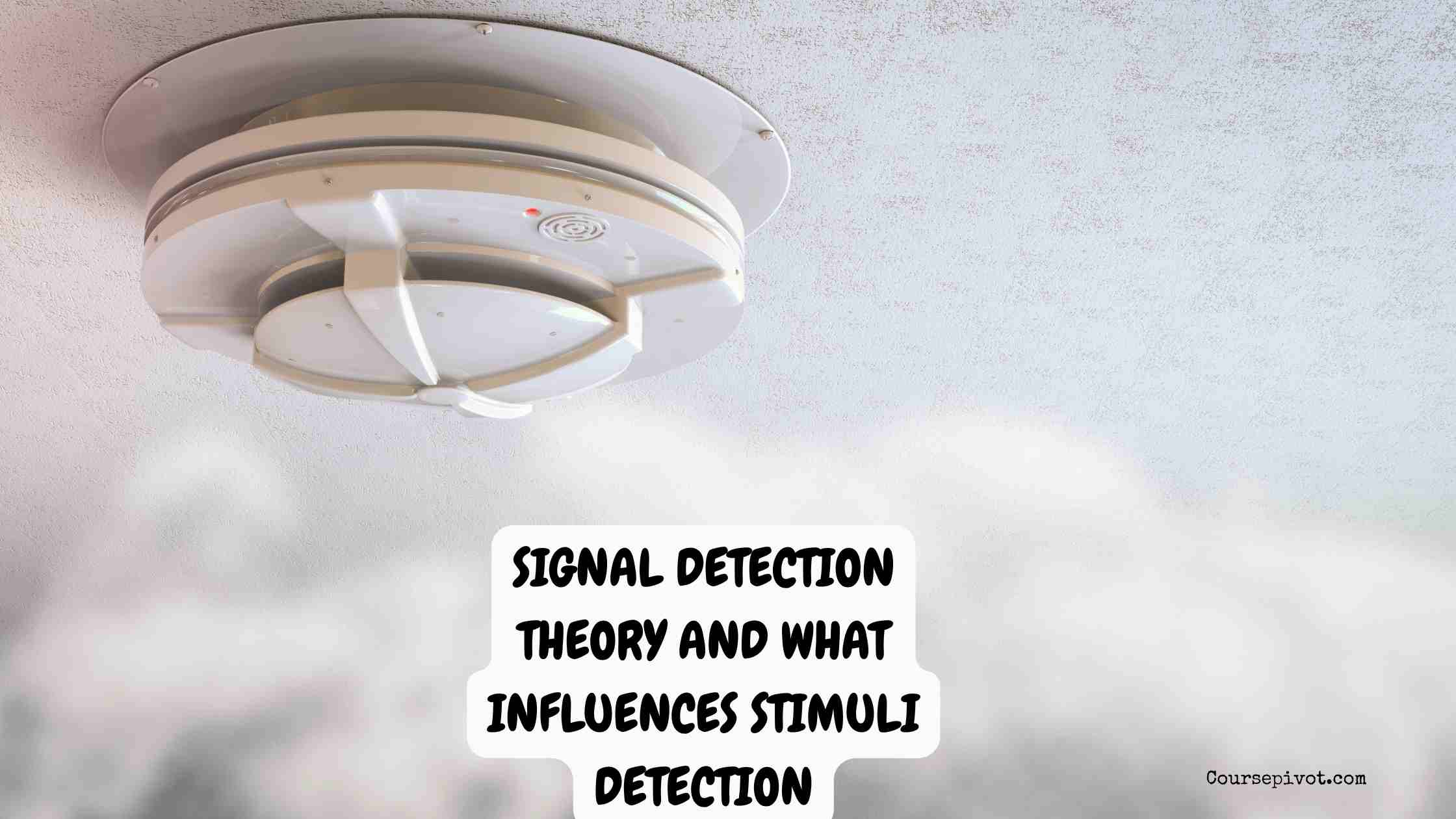 Signal Detection Theory and What Influences Stimuli Detection