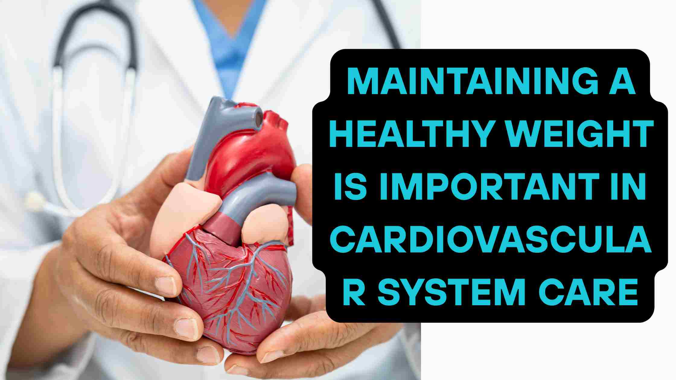 briefly explain why maintaining a healthy weight is important in cardiovascular system care.