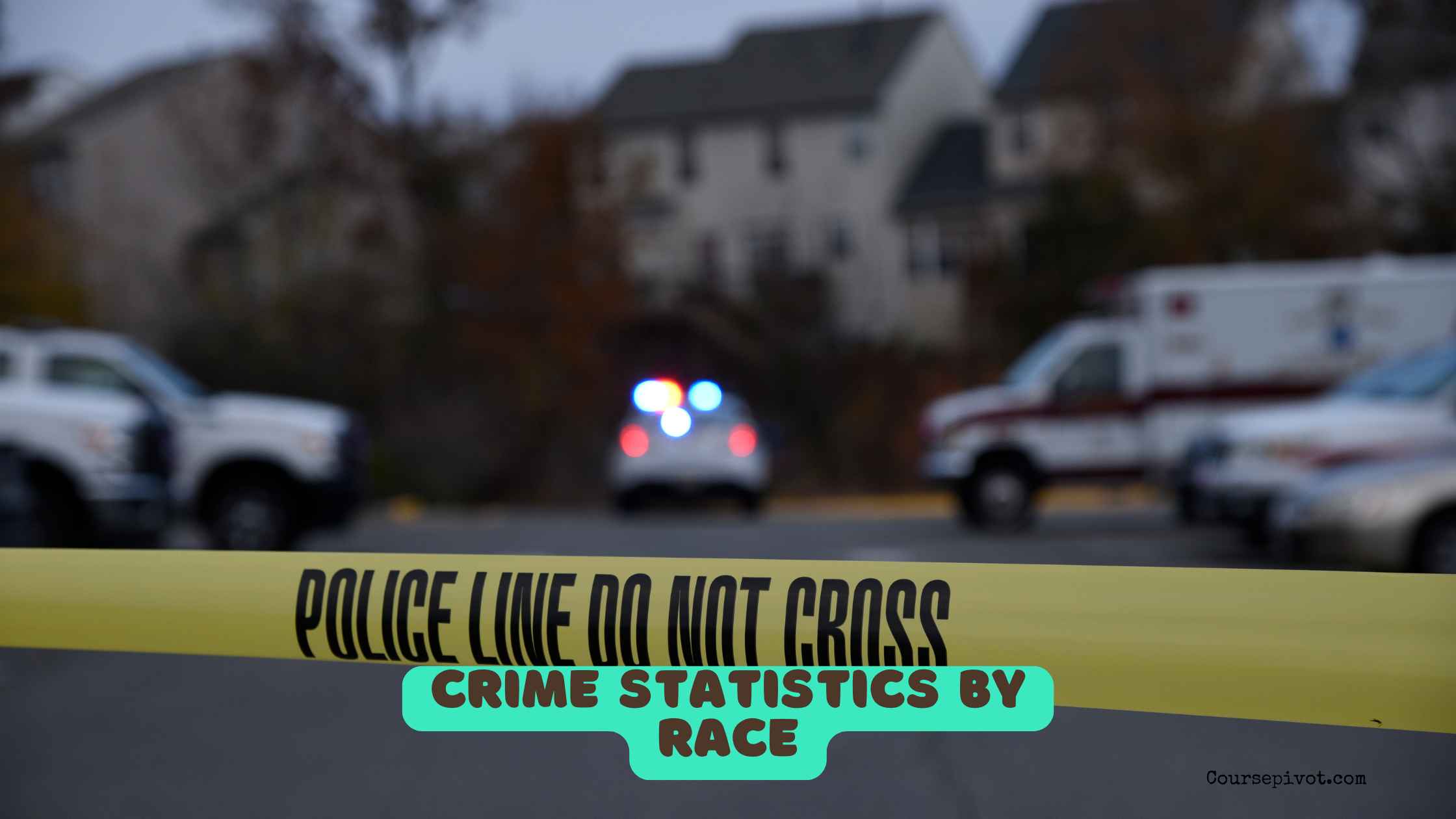 crime statistics by race in the US