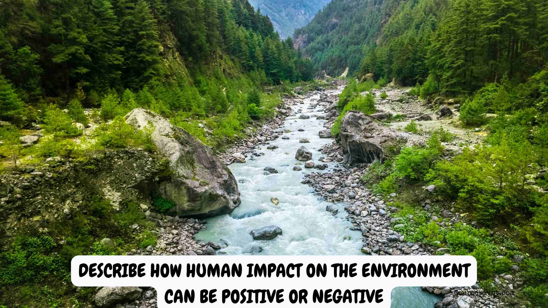 describe how human impact on the environment can be positive or negative