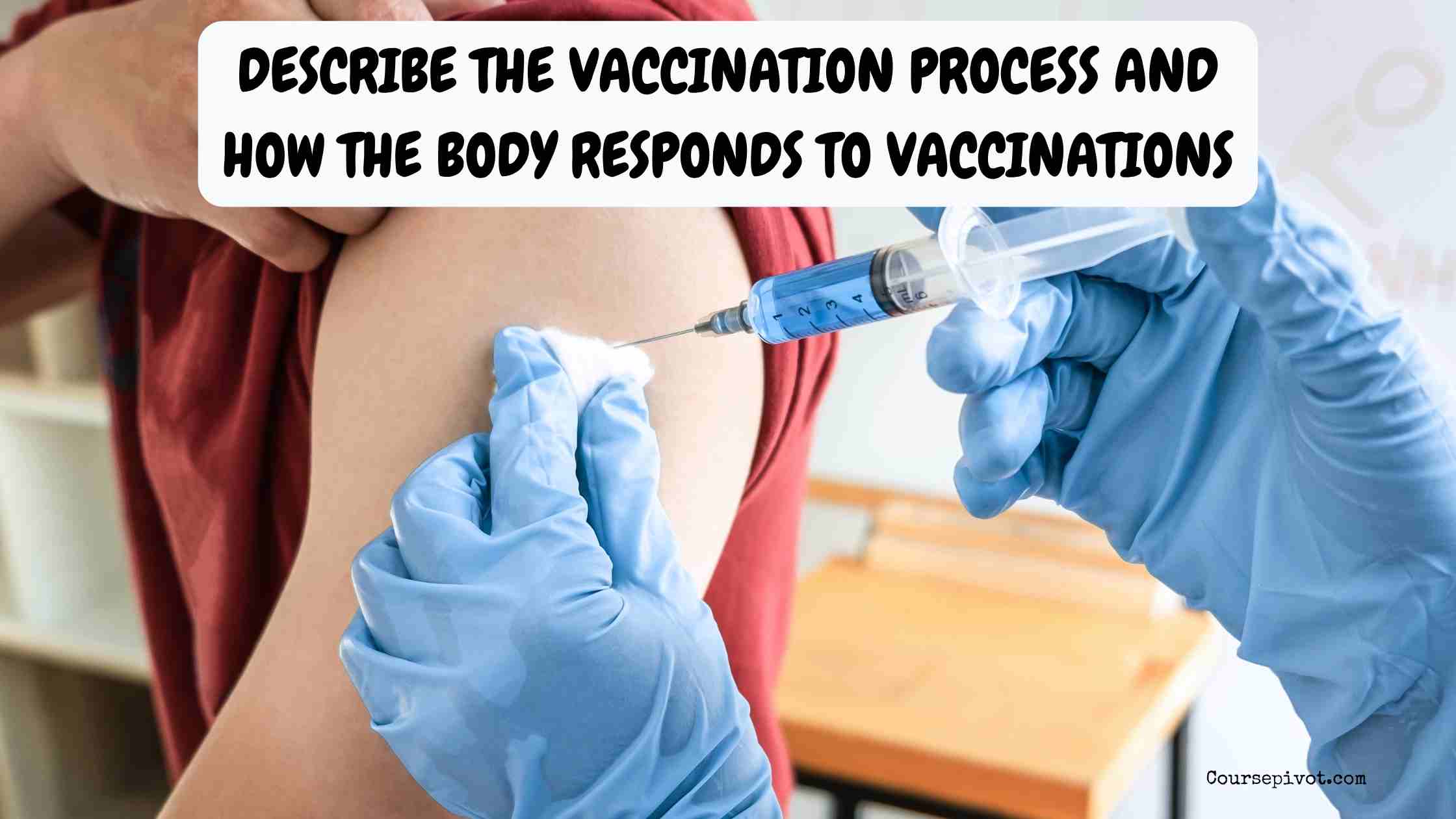 describe the vaccination process and how the body responds to vaccinations