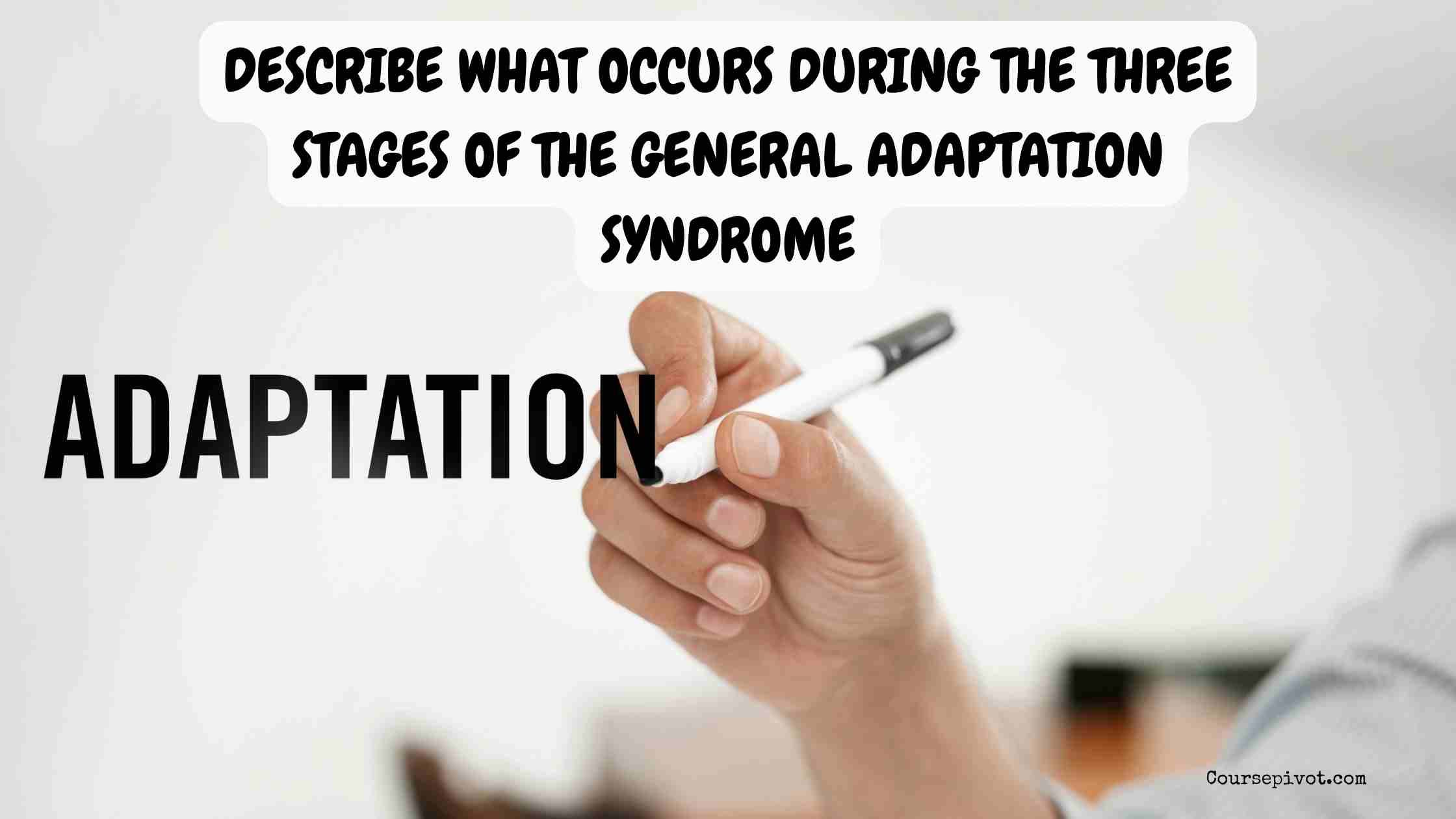 describe what occurs during the three stages of the general adaptation syndrome