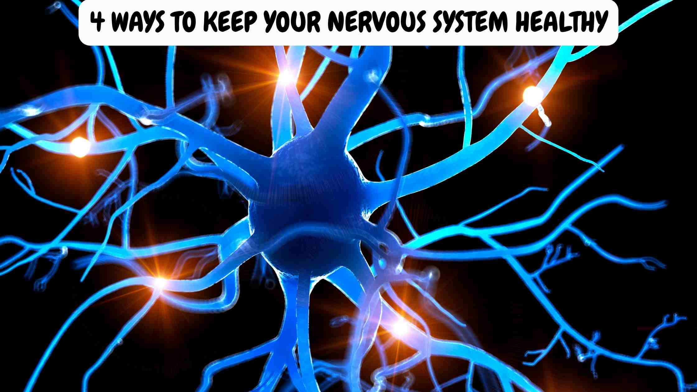 4 Ways to Keep Your Nervous System Healthy