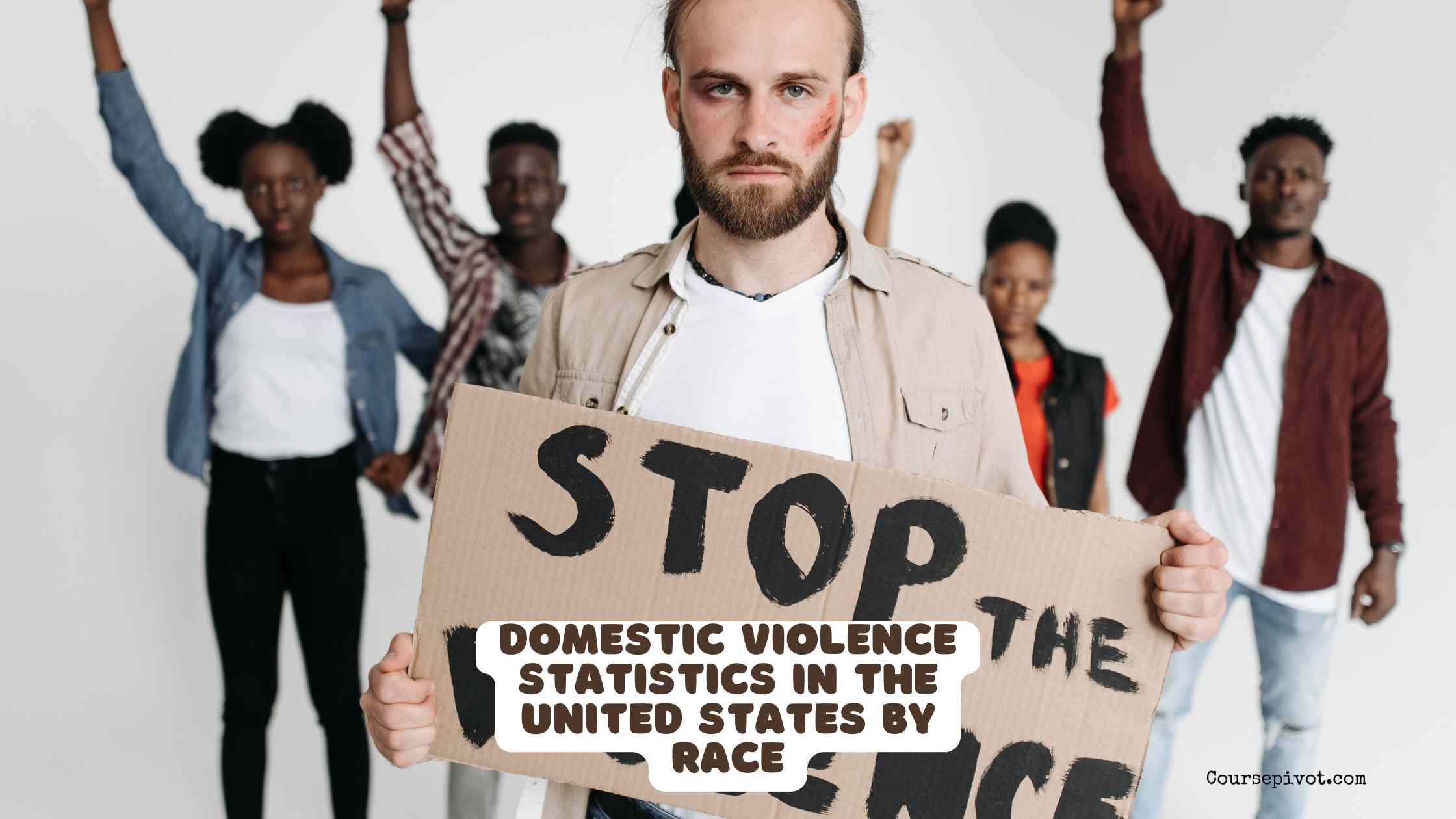 domestic violence statistics in the united states by race
