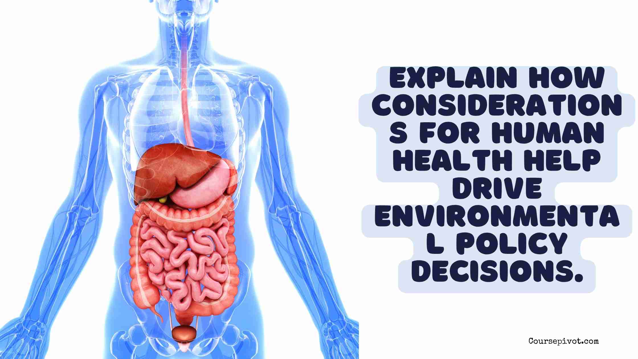 How Human Health Considerations Shape Environmental Policy