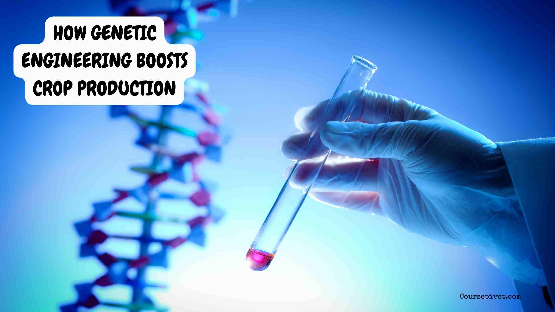 How Genetic Engineering Boosts Crop Production
