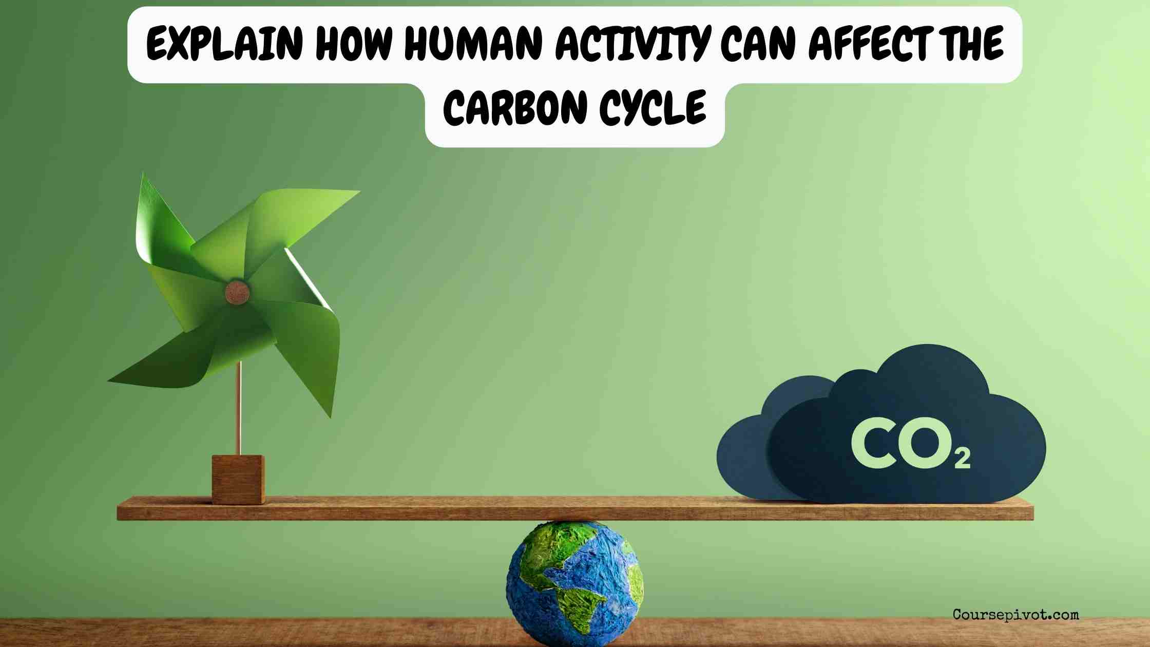 explain how human activity can affect the carbon cycle
