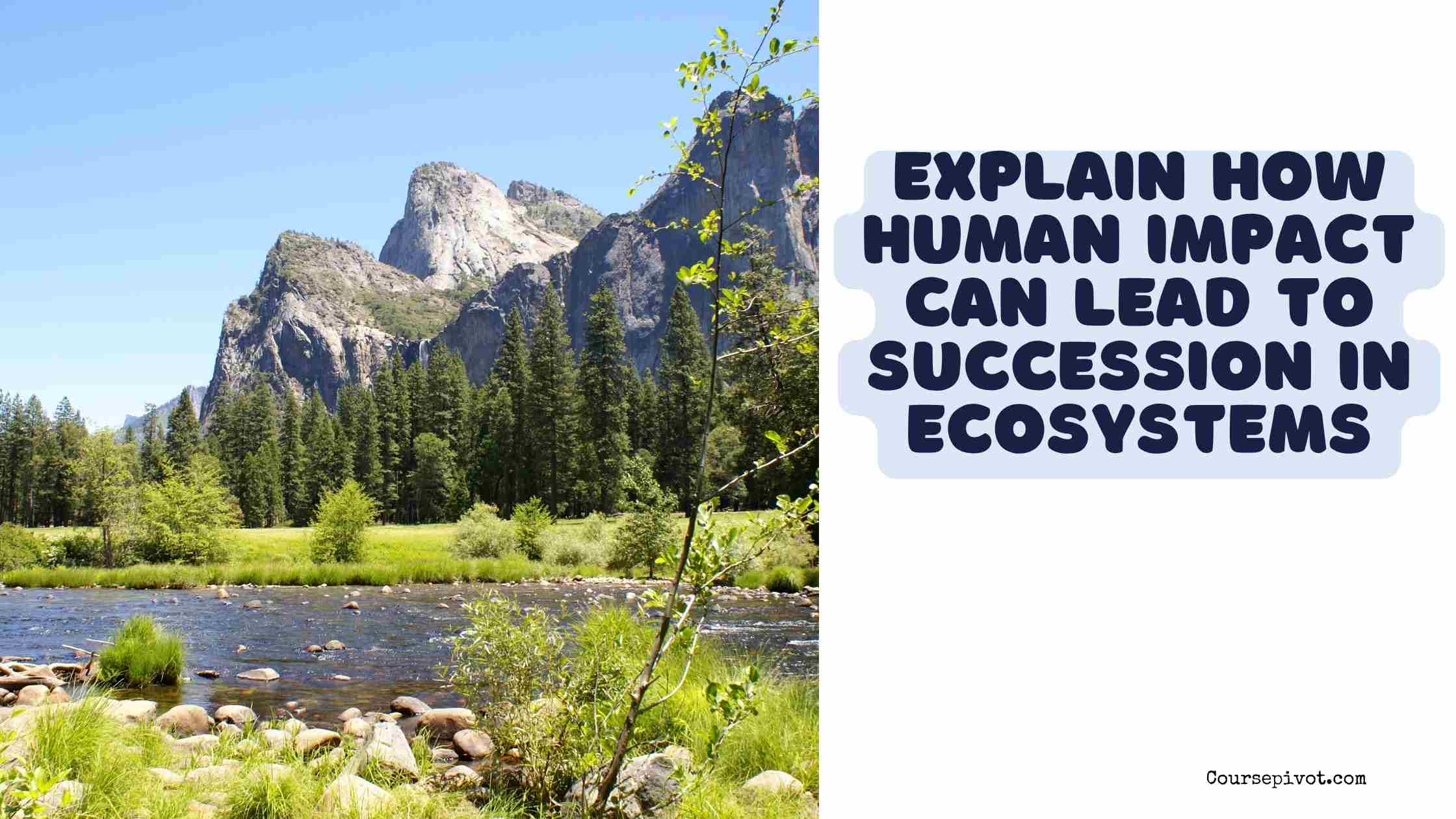 explain how human impact can lead to succession in ecosystems.