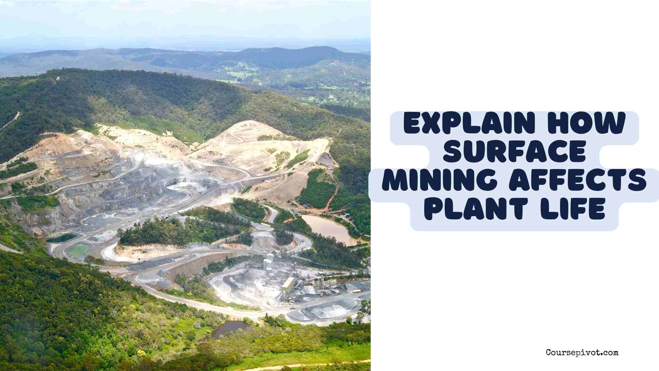 explain how surface mining affects plant life