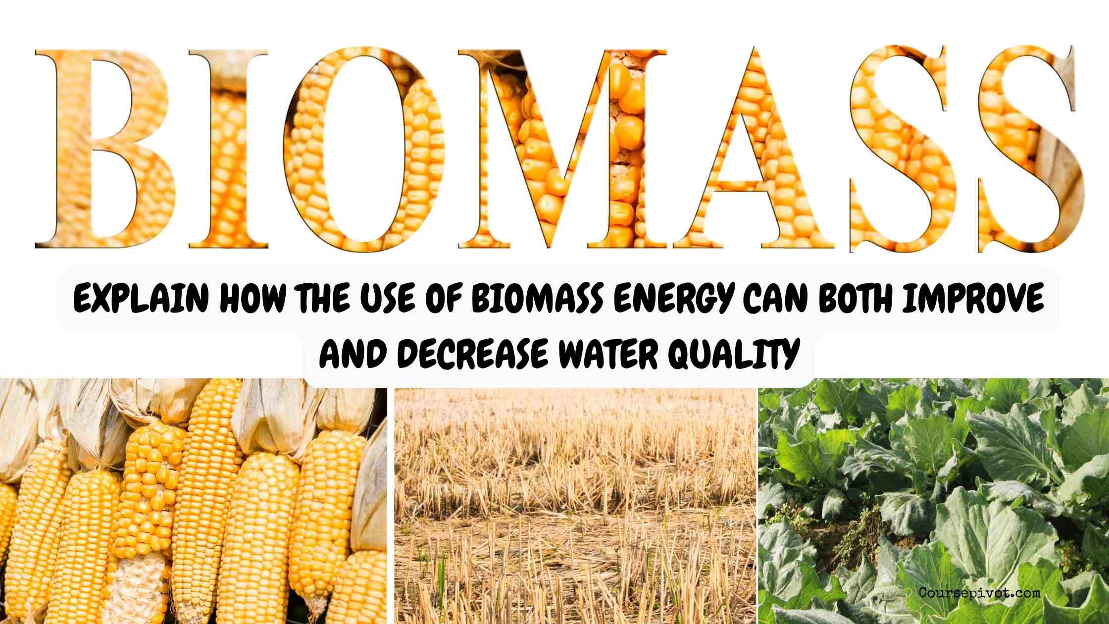 explain how the use of biomass energy can both improve and decrease water quality