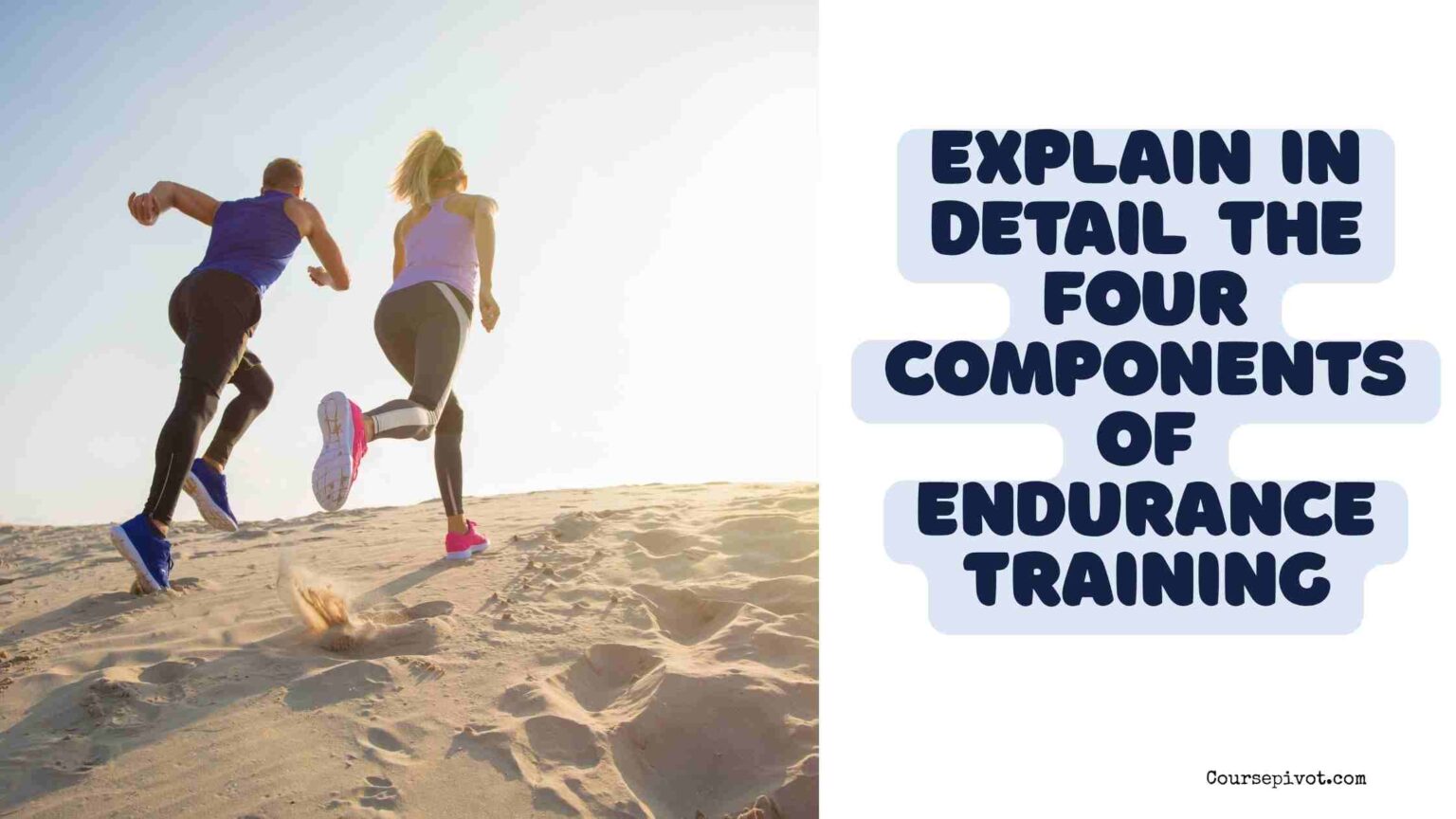 Explain In Detail The Four Components Of Endurance Training
