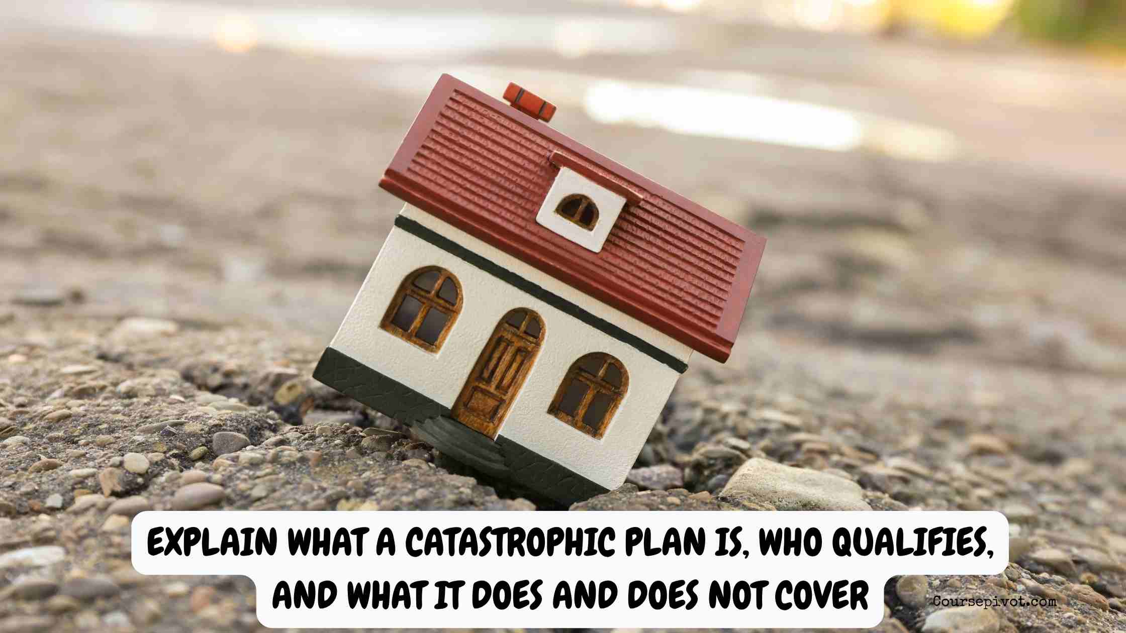 explain what a catastrophic plan is, who qualifies, and what it does and does not cover
