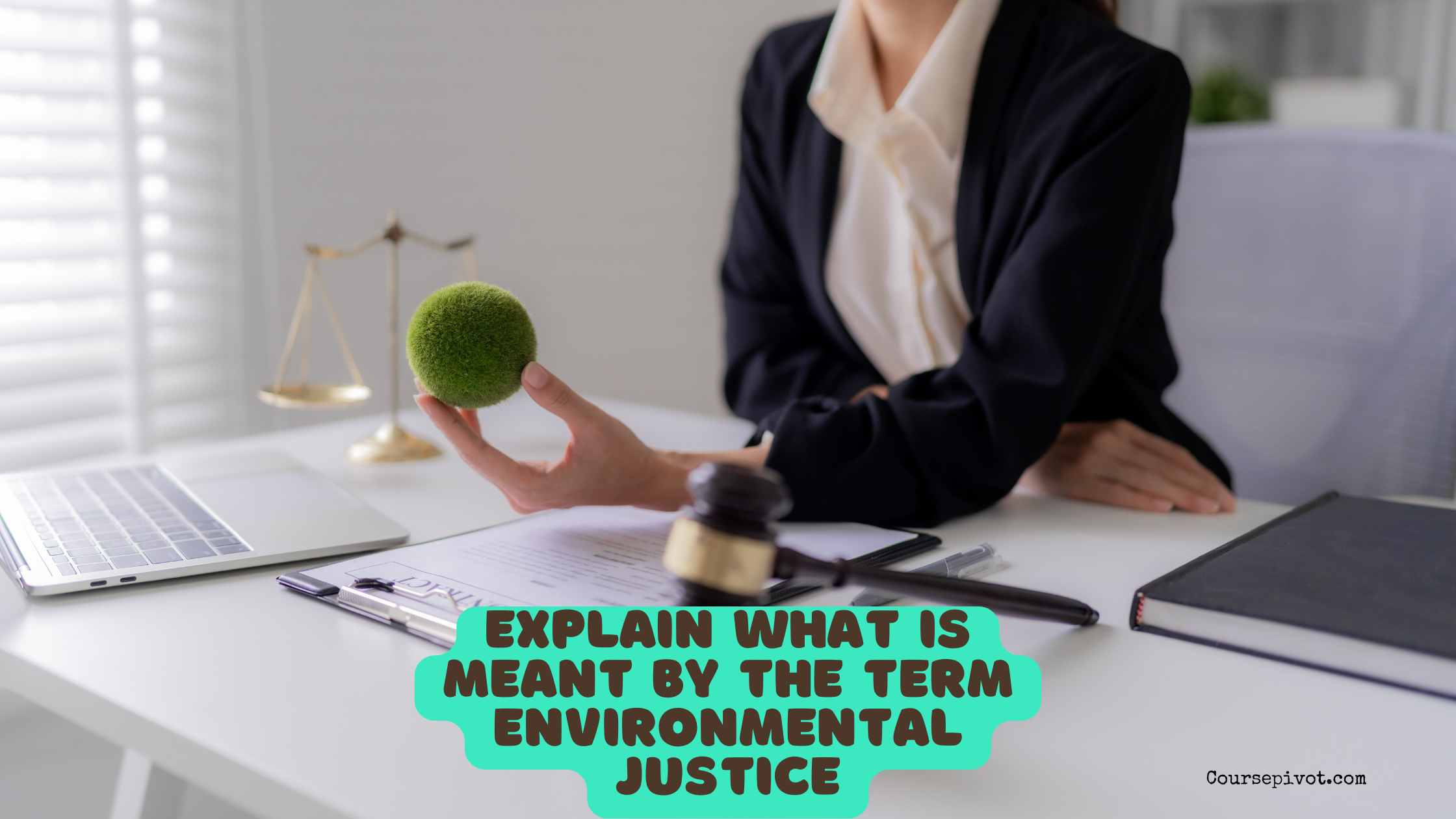 explain what is meant by the term environmental justice