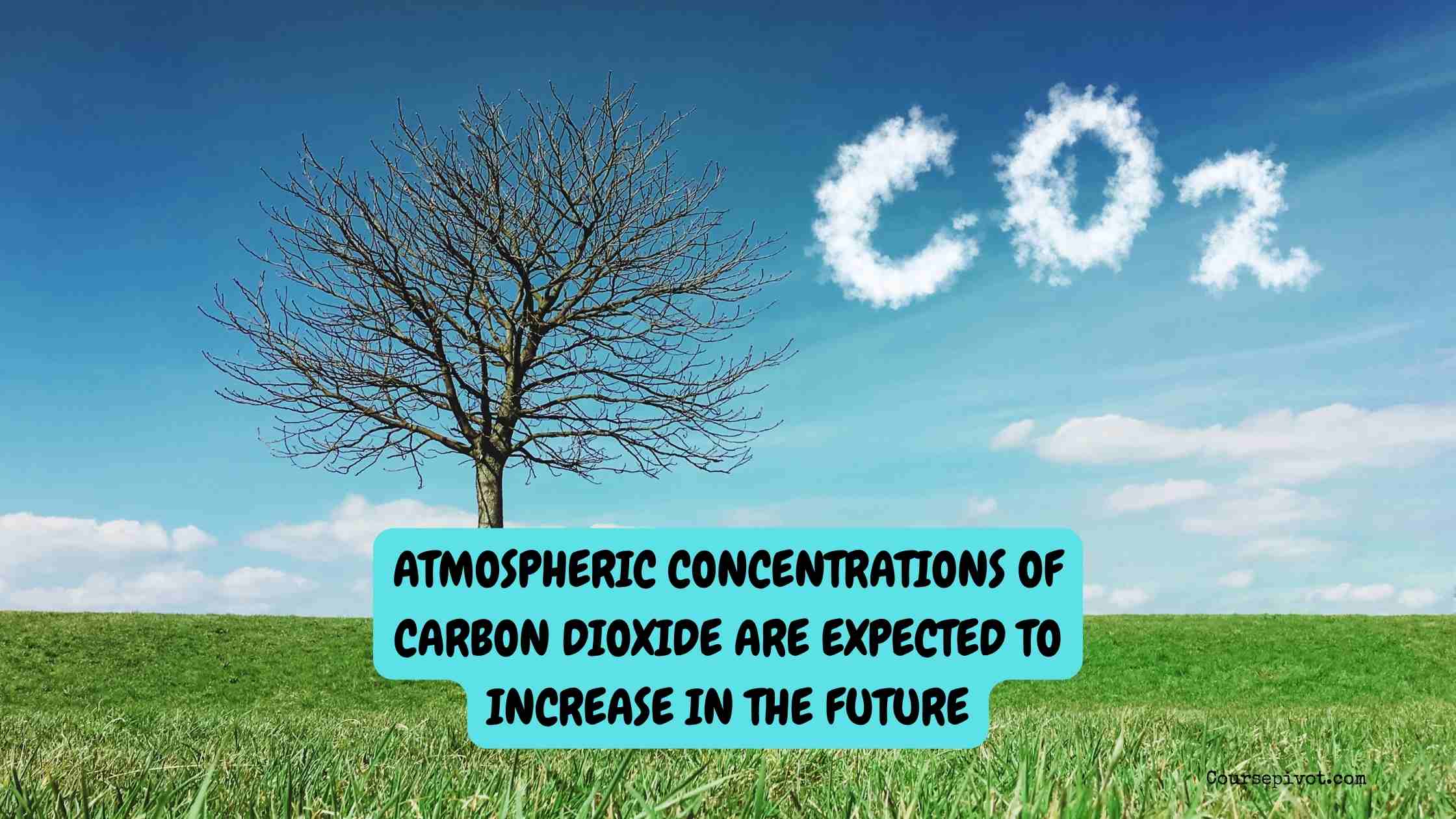 Why Atmospheric Concentrations of Carbon Dioxide Are Expected to Increase in the Future