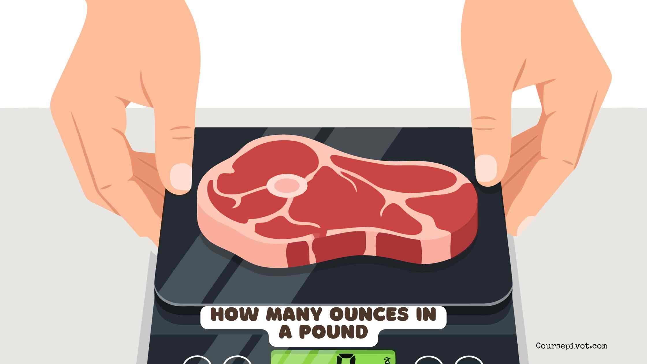 how many ounces in a pound