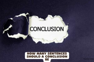 how many sentences should a conclusion be