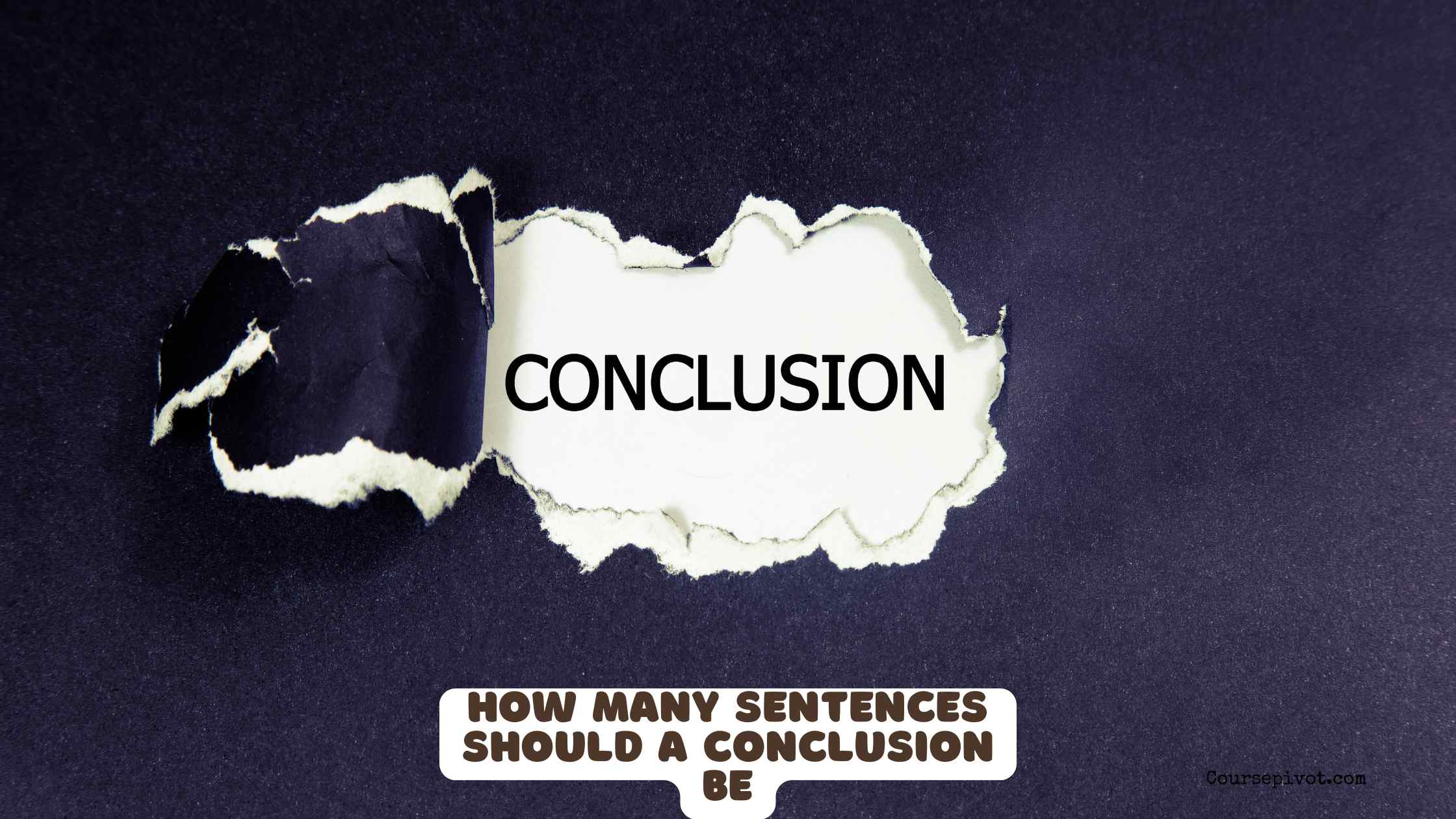 how many sentences should a conclusion be