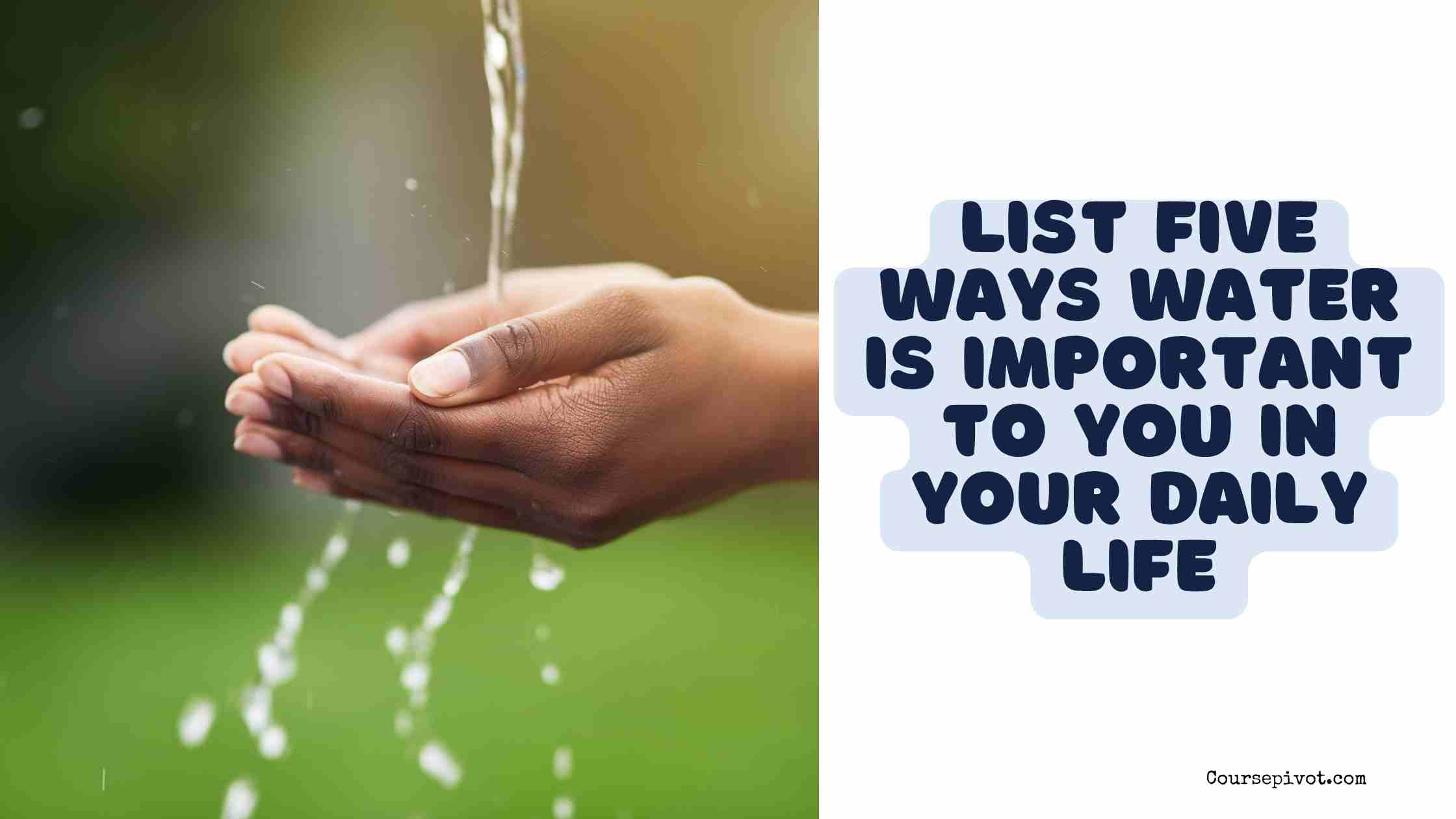 list five ways water is important to you in your daily life
